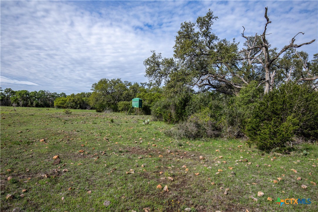San Marcos, Texas, 78666, United States, ,Land,For Sale,1990898