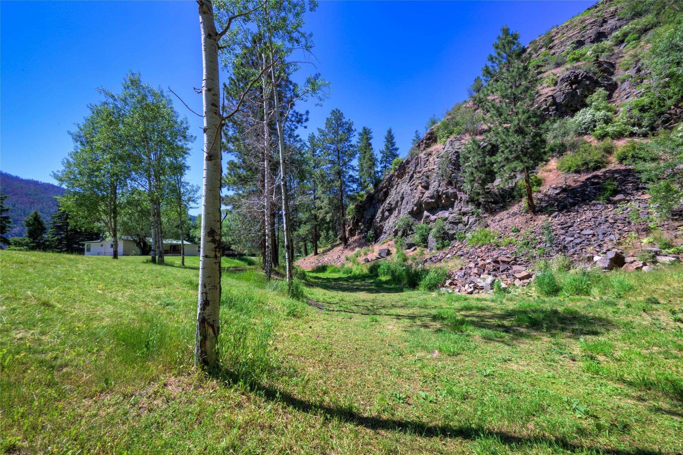 8045 Mt Hwy 200, Plains, Montana, 59859, United States, 3 Bedrooms Bedrooms, ,1 BathroomBathrooms,Residential,For Sale,8045 Mt Hwy 200,1586647
