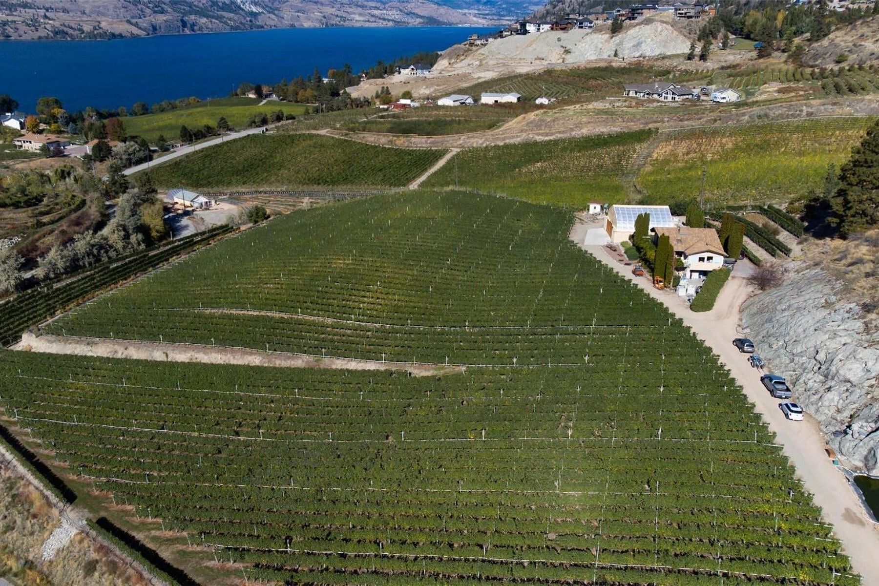  Boutique Okanagan Winery - 物件實景