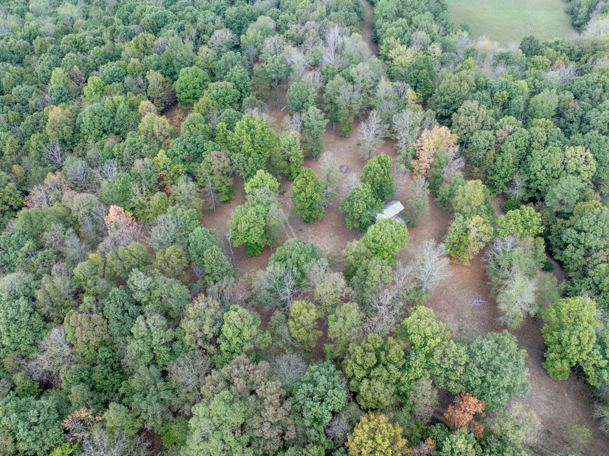 Mc Ewen, Tennessee, 37101, United States, ,Residential,For Sale,1923664