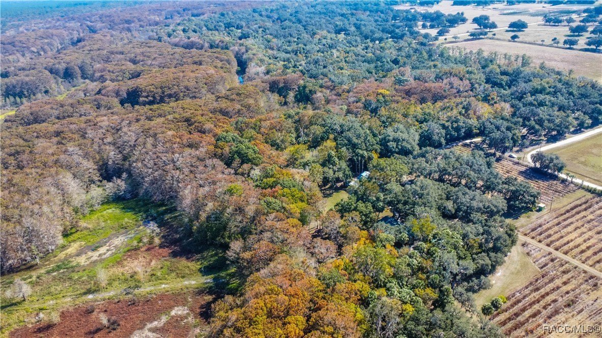 Inverness, Florida, 34450, United States, 4 Bedrooms Bedrooms, ,7 BathroomsBathrooms,Residential,For Sale,2005409