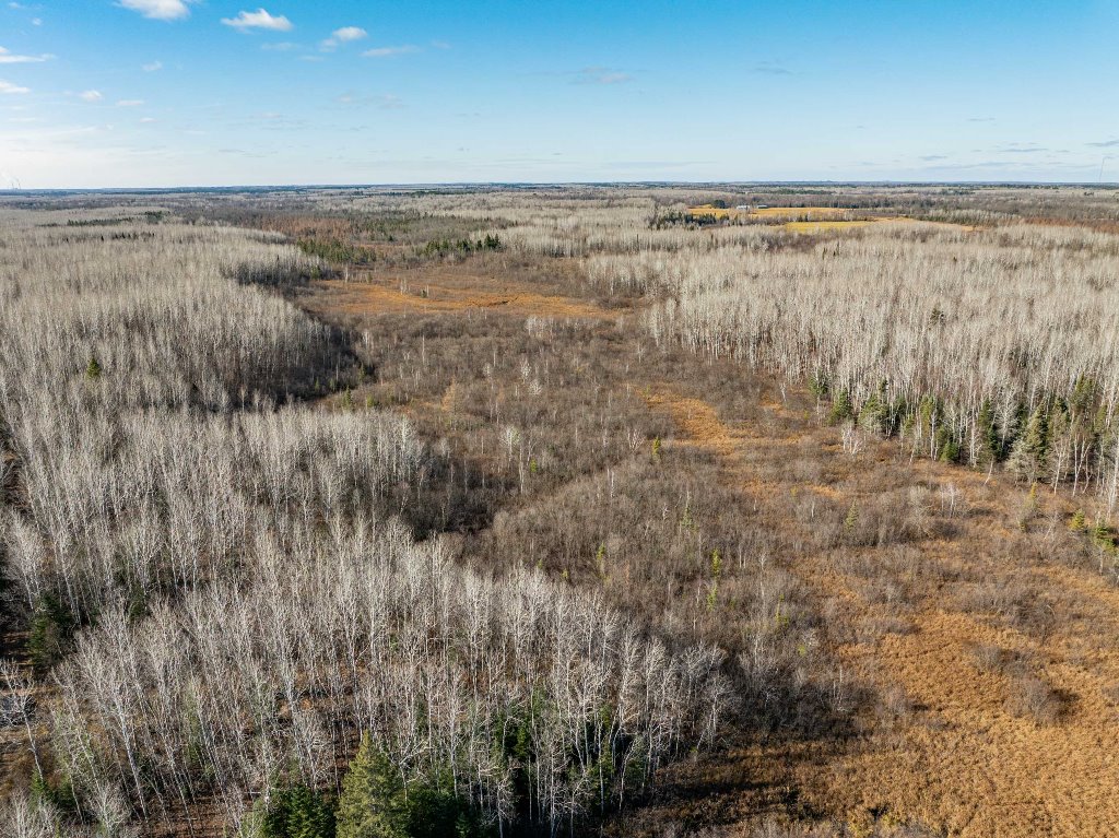 Grand Rapids, Minnesota, 55744, United States, ,Land,For Sale,1983791