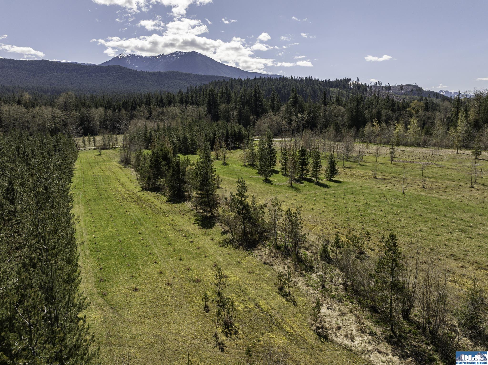 Sequim, Washington, 98382, United States, ,Land,For Sale,1787569
