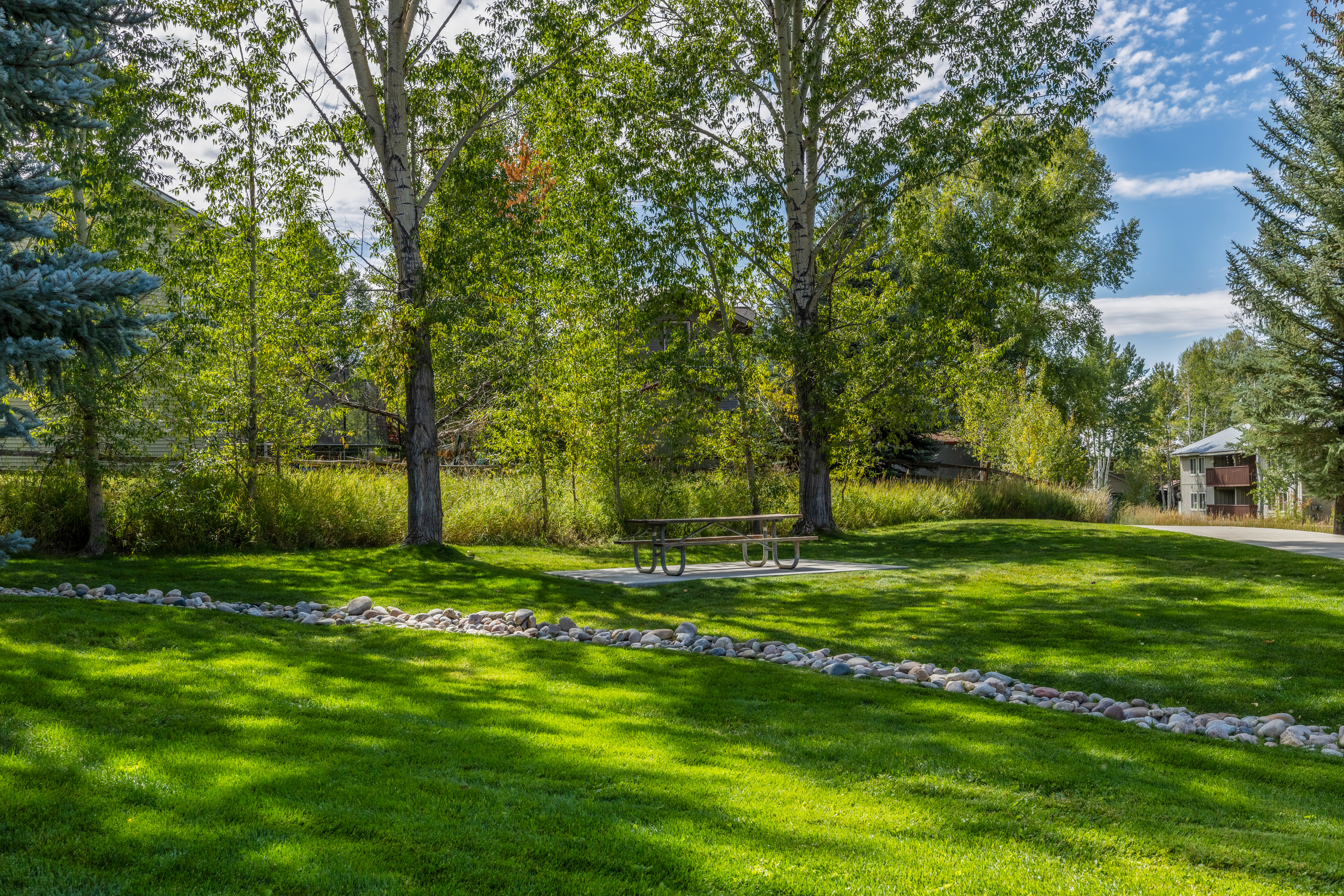  1555 Woodbridge Court, Steamboat Springs, CO 80487 - 物件實景