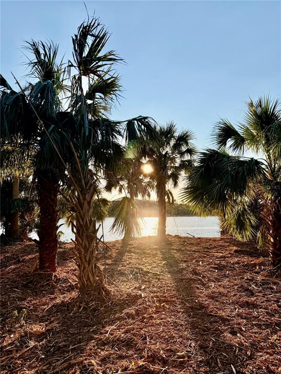 Ormond Beach, Florida, 32176, United States, ,Land,For Sale,1743794