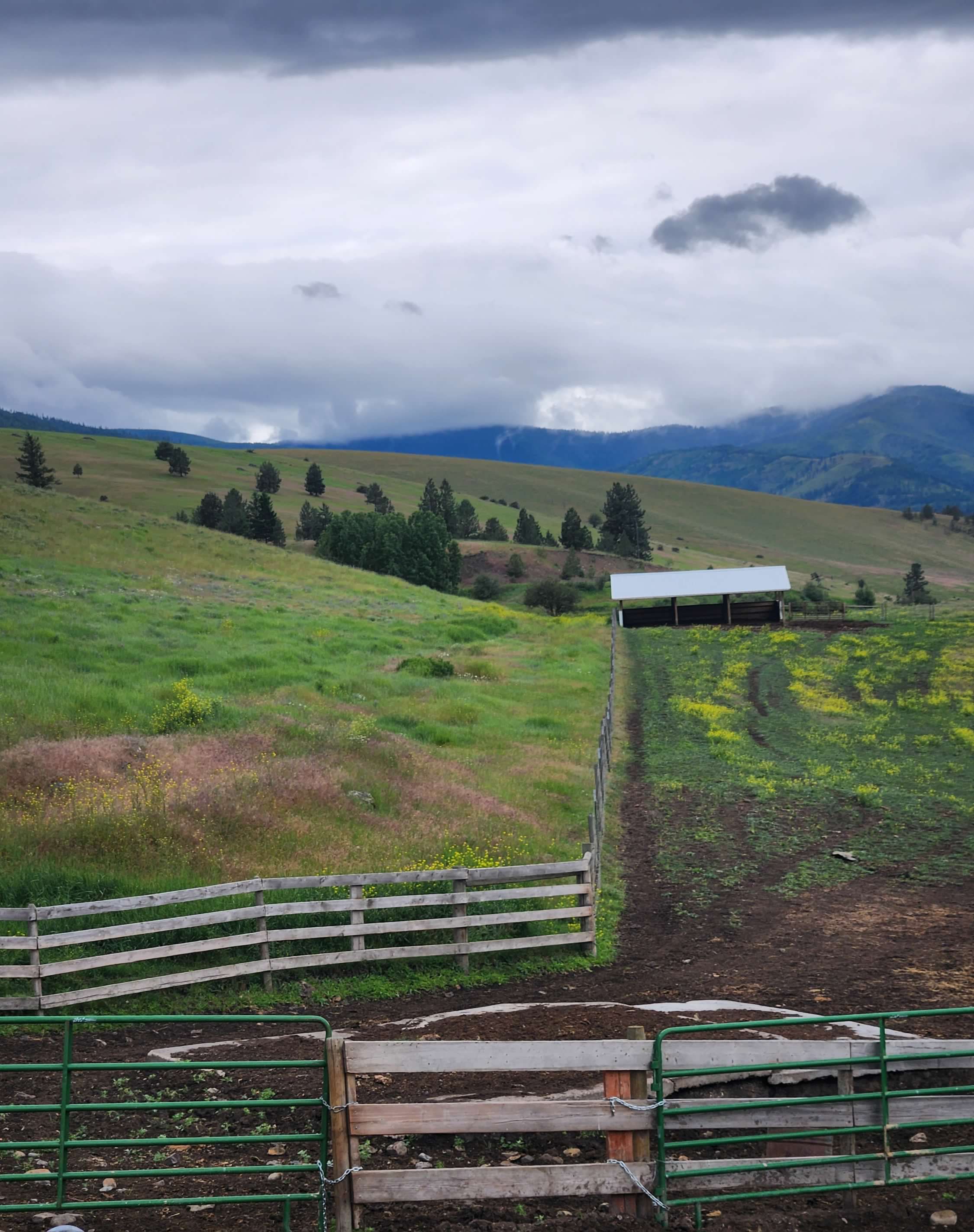 Plains, Montana, 59859, United States, 4 Bedrooms Bedrooms, ,6 BathroomsBathrooms,Residential,For Sale,1894309