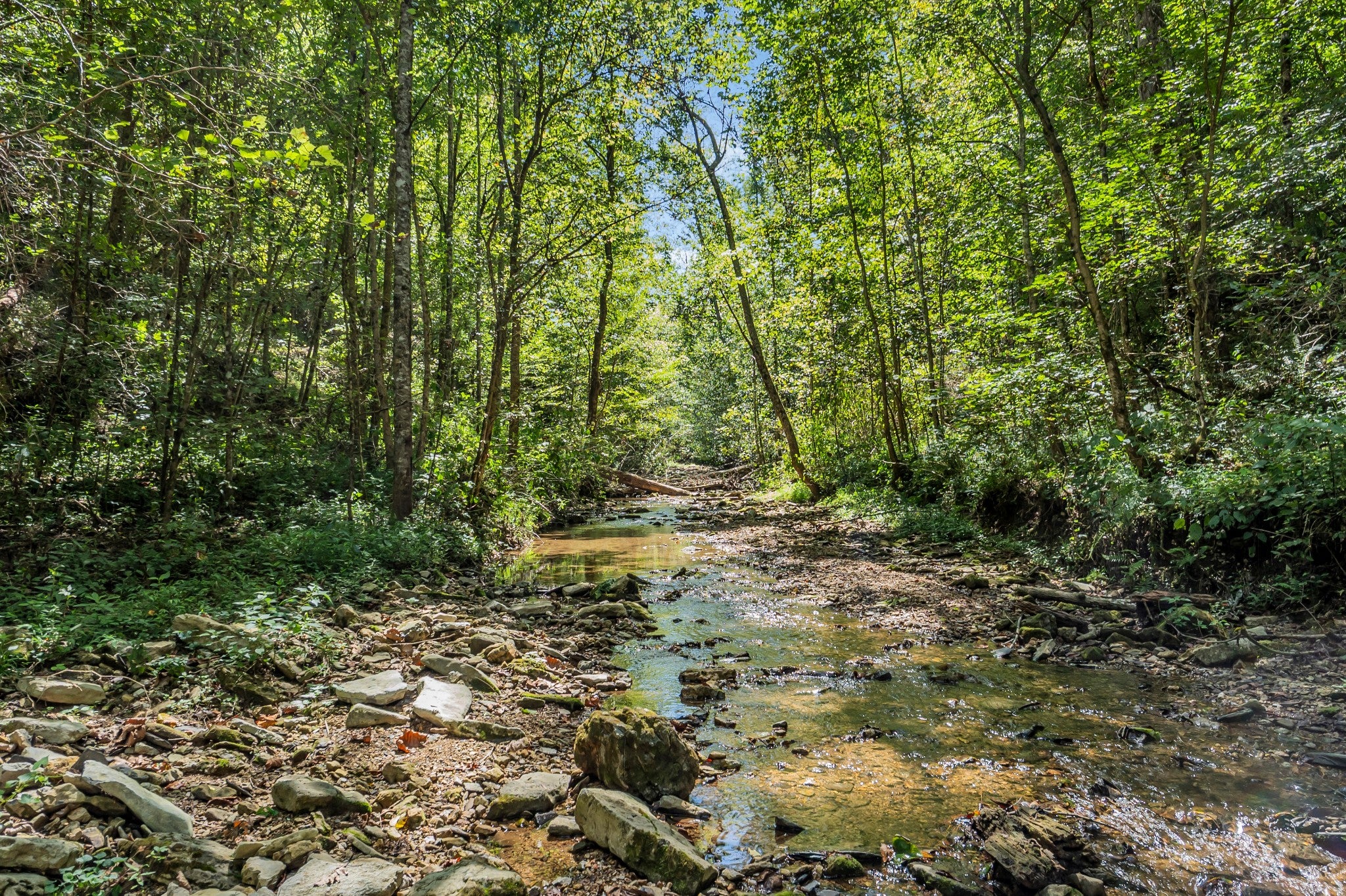 Smithville, Tennessee, 37166, United States, ,Land,For Sale,2006607