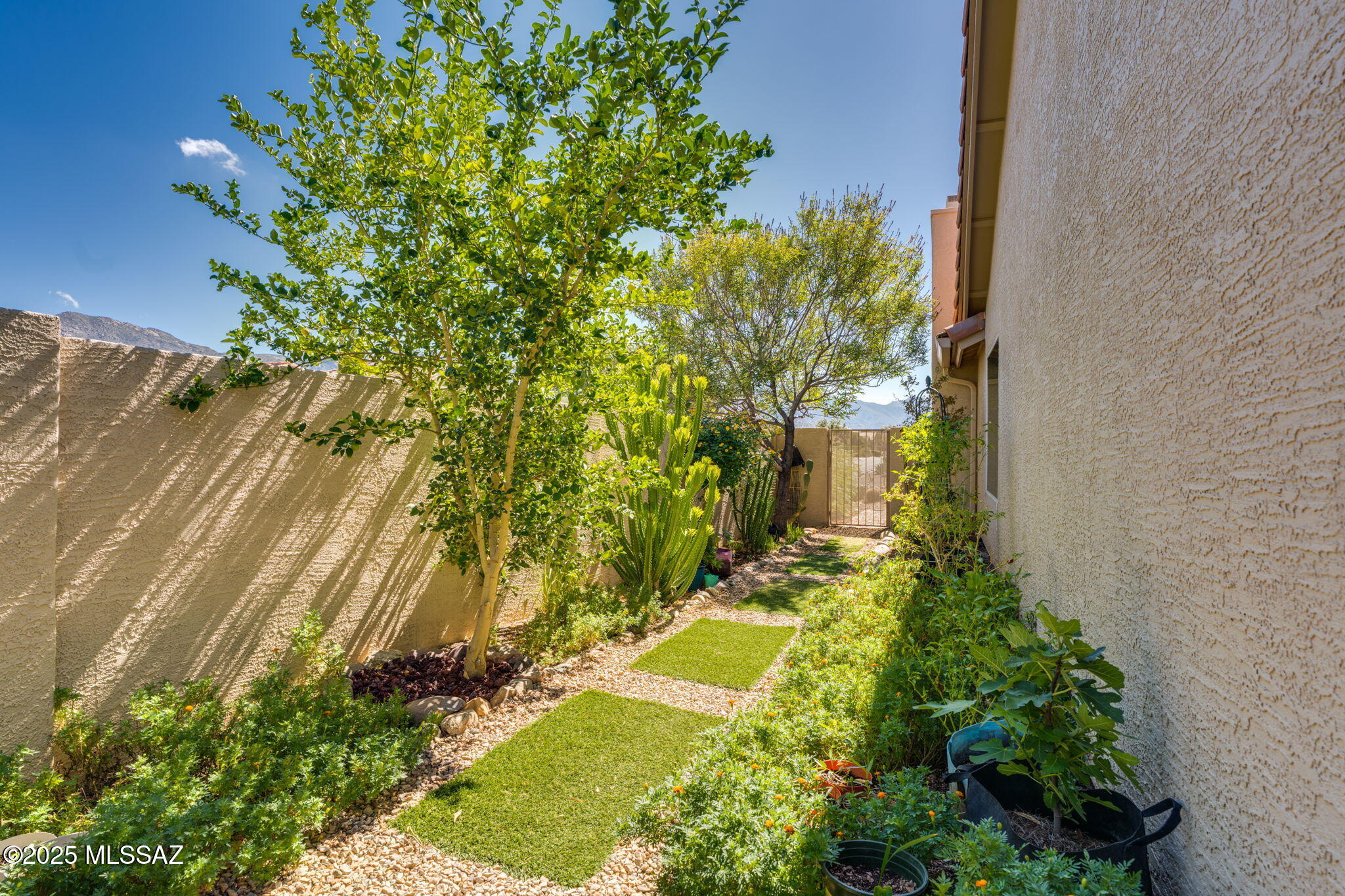 Saddlebrooke, Arizona, 85739, United States, 2 Bedrooms Bedrooms, ,2 BathroomsBathrooms,Residential,For Sale,1985244