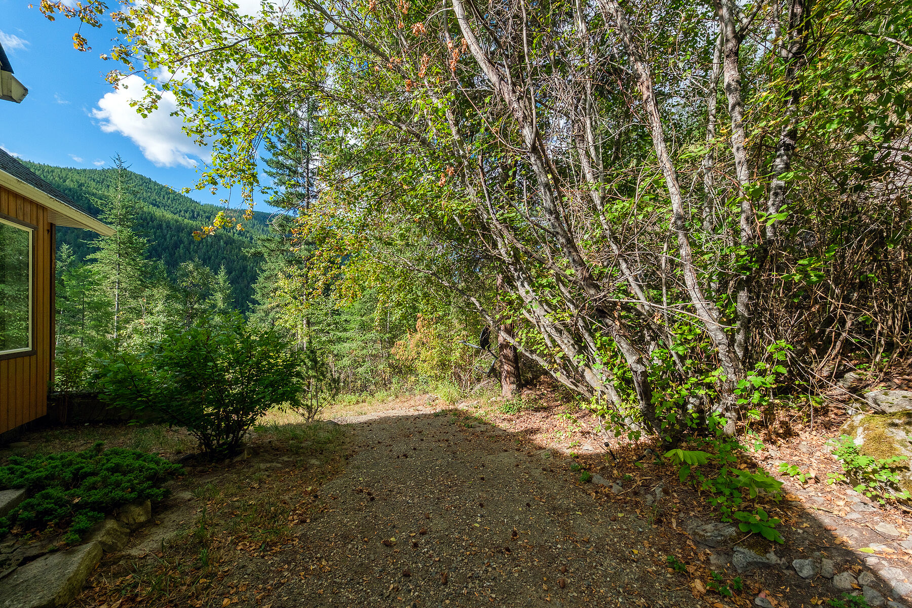  27 Acres in Creighton Valley - 物件實景