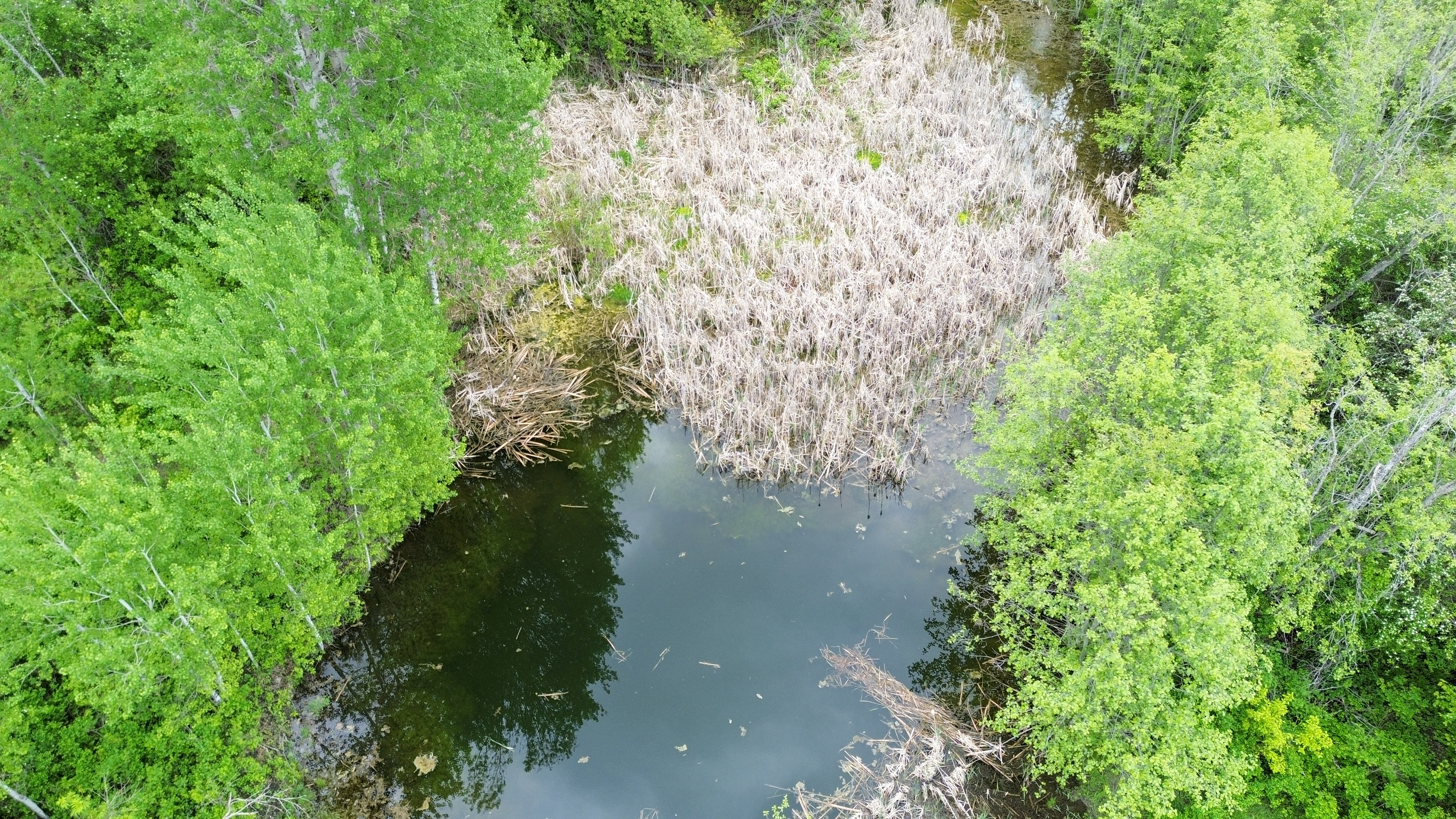 Kettle Falls, Washington, 99141, United States, 3 Bedrooms Bedrooms, ,2 BathroomsBathrooms,Residential,For Sale,1985709