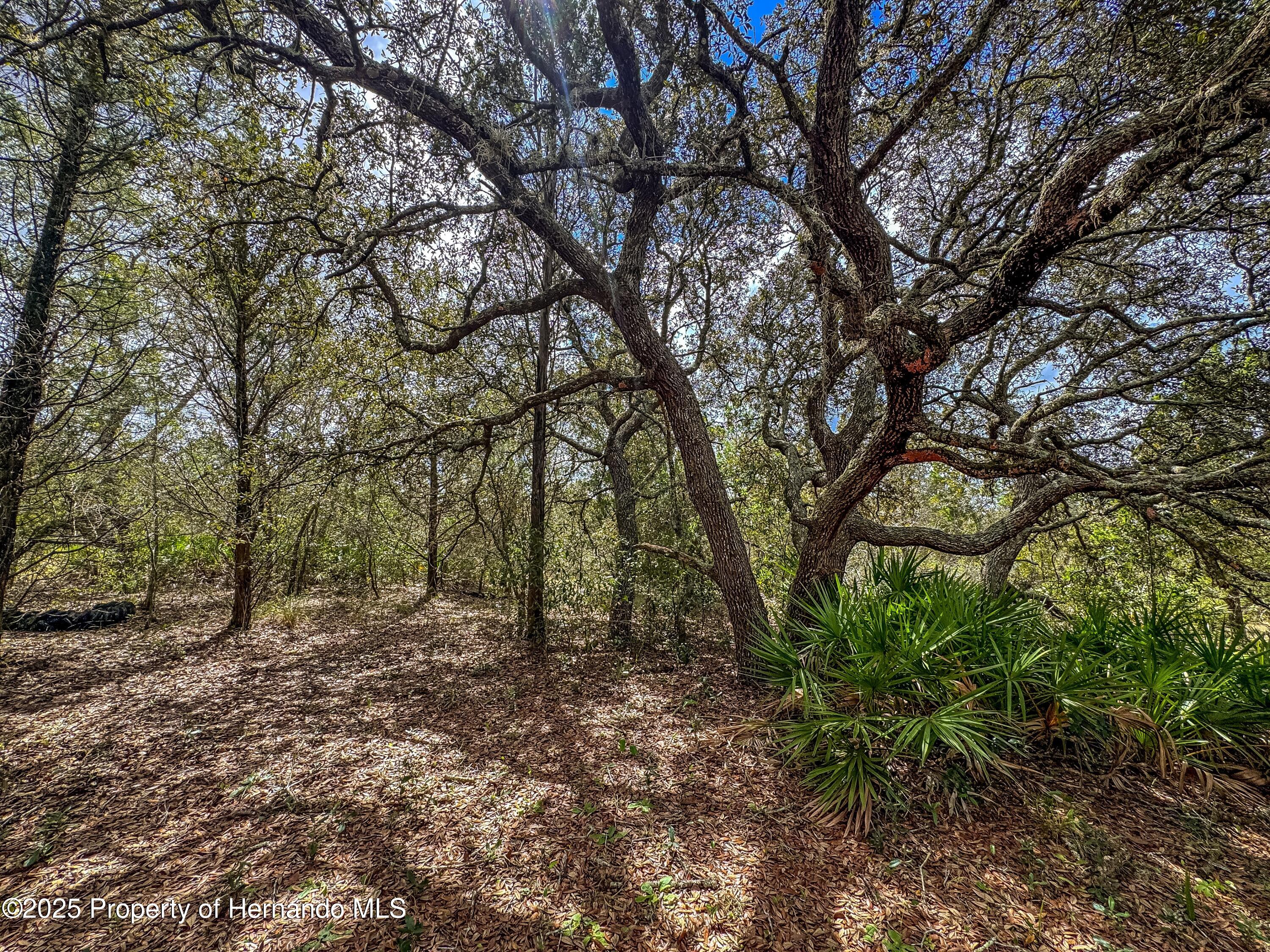 Brooksville, Florida, 34613, United States, 4 Bedrooms Bedrooms, ,2 BathroomsBathrooms,Residential,For Sale,1975088