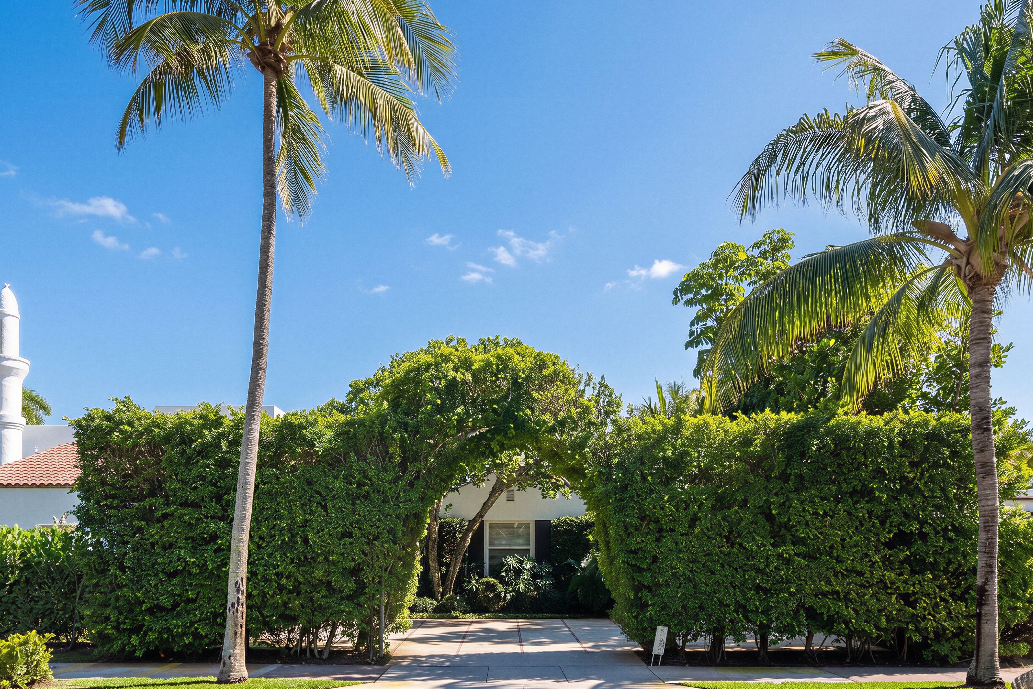  152 Chilean Avenue - 物件實景