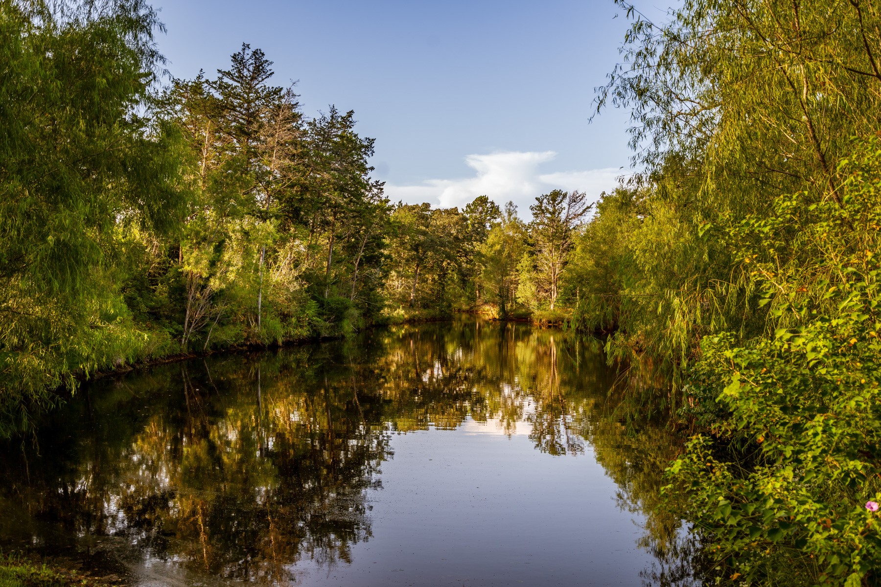  25200A Bernard Road, New Ulm, TX, 78950 - 物件實景