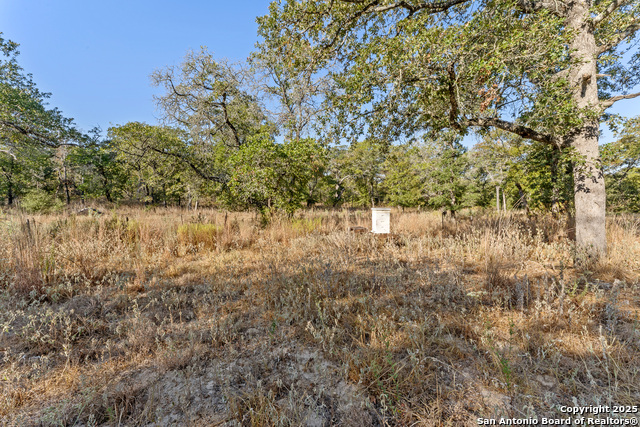 Seguin, Texas, 78155, United States, ,2 BathroomsBathrooms,Residential,For Sale,1983192