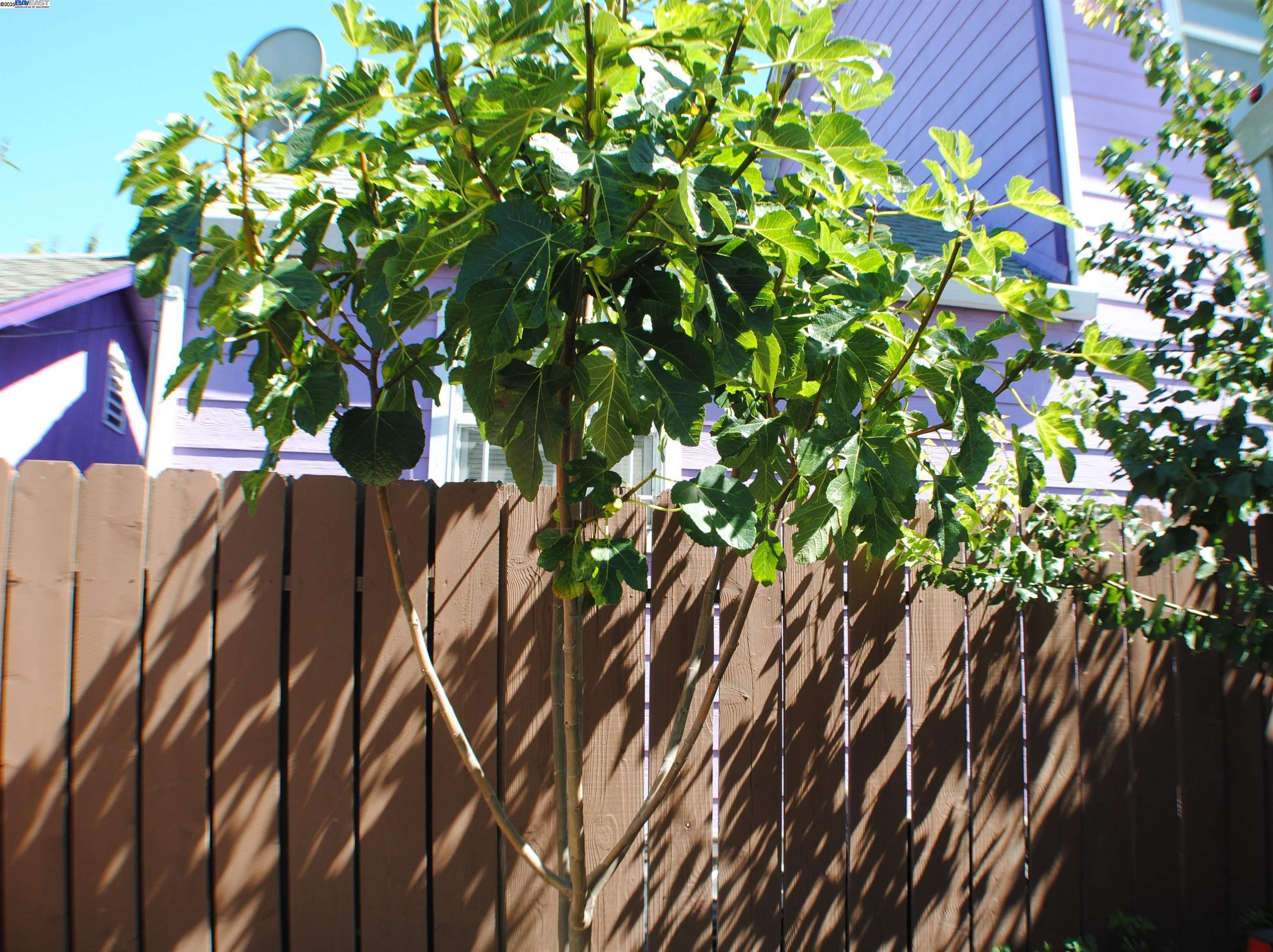 Oakland, California, 94603, United States, 3 Bedrooms Bedrooms, ,2 BathroomsBathrooms,Residential,For Sale,1991687