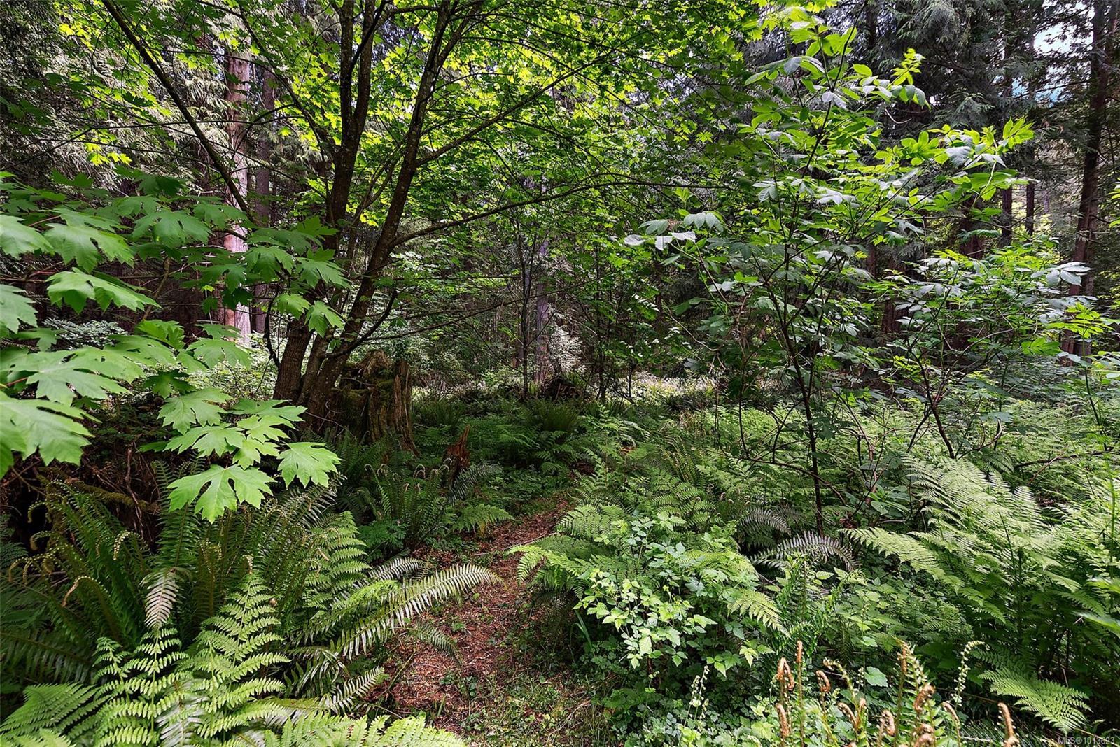 METCHOSIN, British Columbia, V9C 4C6, CA, ,Residential,For Sale,1947366