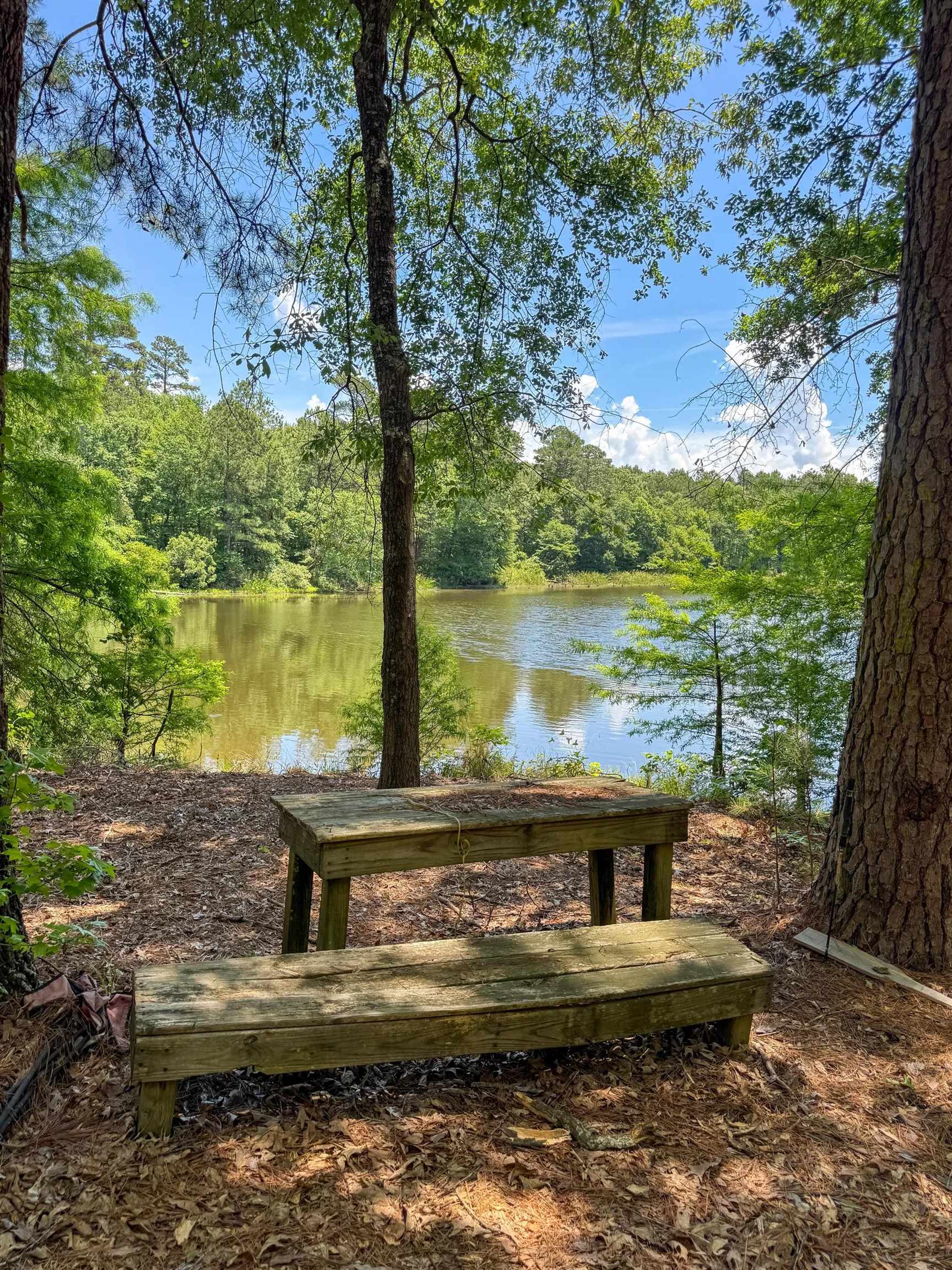 Douglassville, Texas, 75560, United States, ,Land,For Sale,2048006