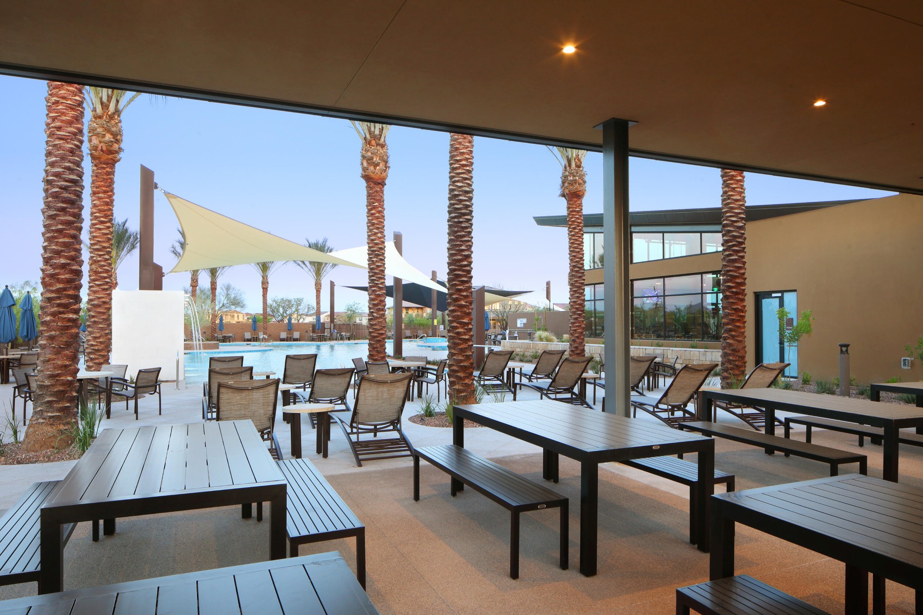  3110 E Louise Drive¦Phoenix, AZ - 物件實景