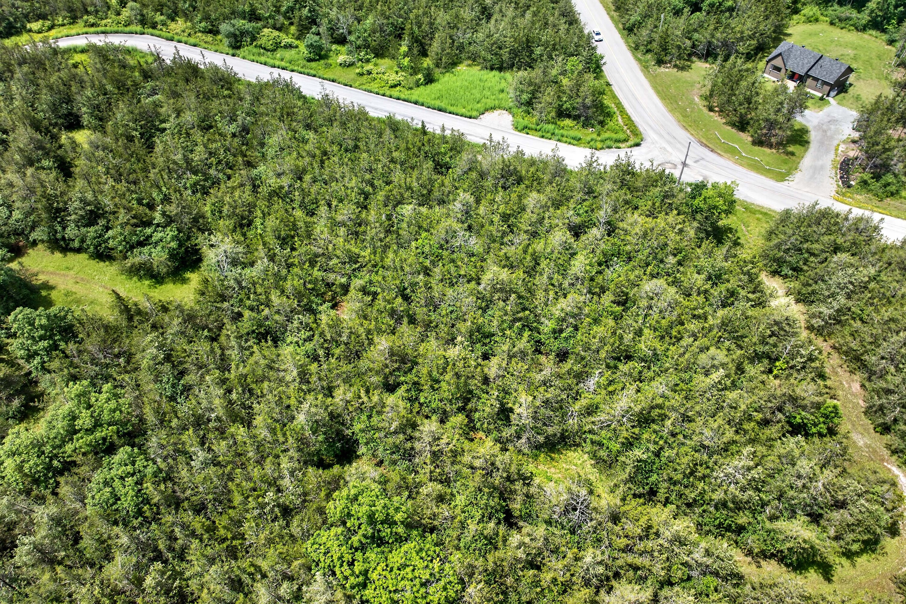  Trent Hills, Eastern Ontario - 物件實景