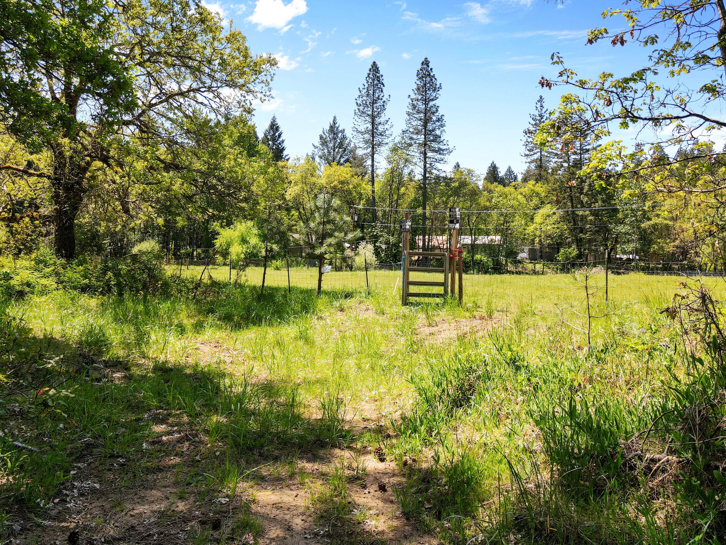 Cave Junction, Oregon, 97523, United States, 3 Bedrooms Bedrooms, ,2 BathroomsBathrooms,Residential,For Sale,1920593