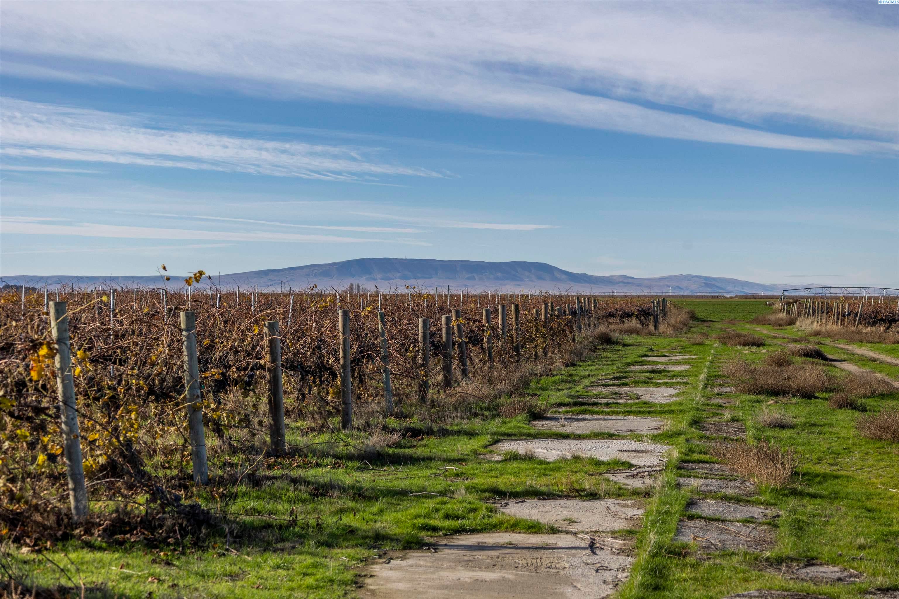 Pasco, Washington, 99301, United States, ,Residential,For Sale,1998040