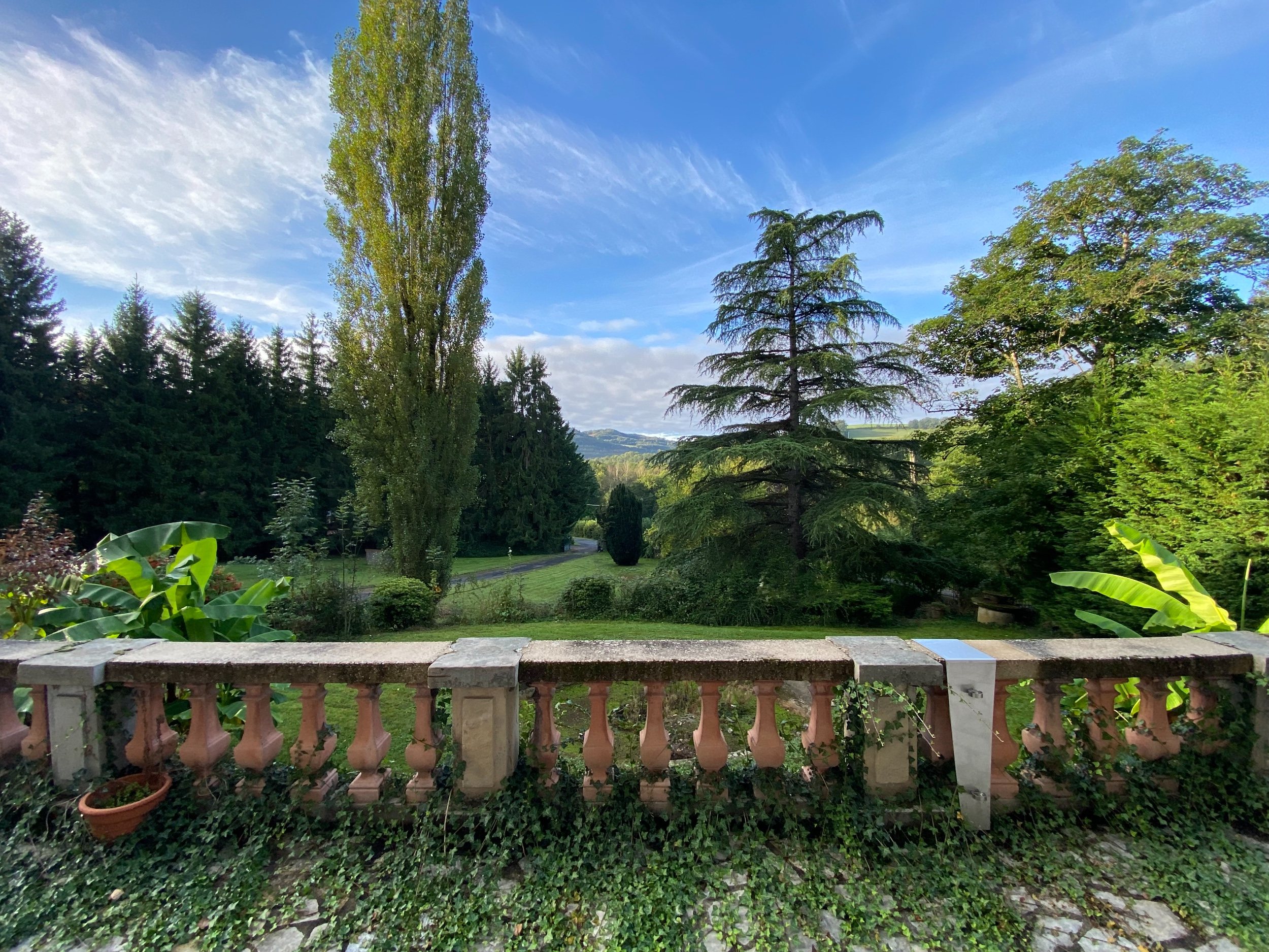  ALBI (30 MIN) - MANSION - 552 M2 - LAND 4 HA - 物件實景
