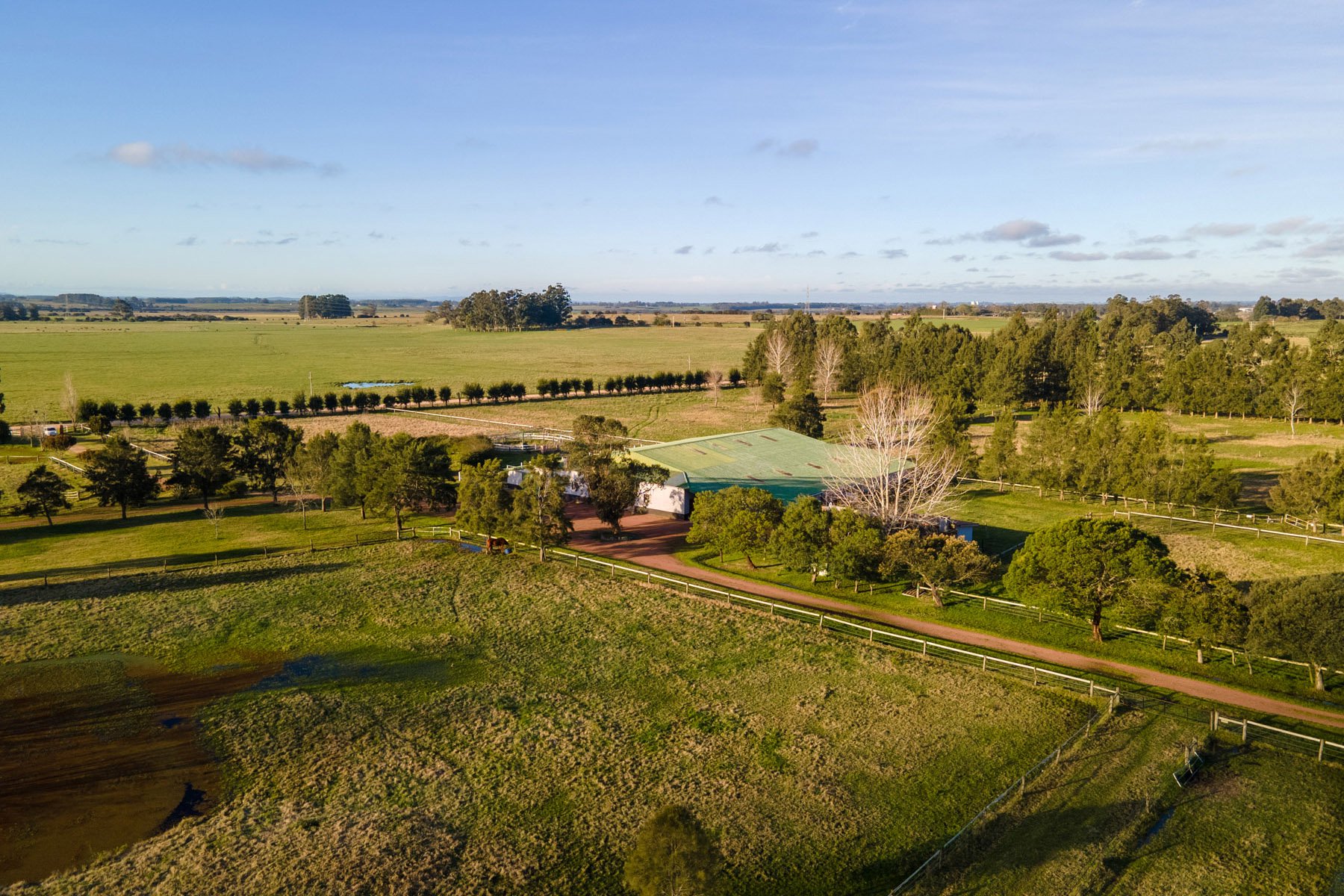  NAHUEL Stud Farm - 物件實景