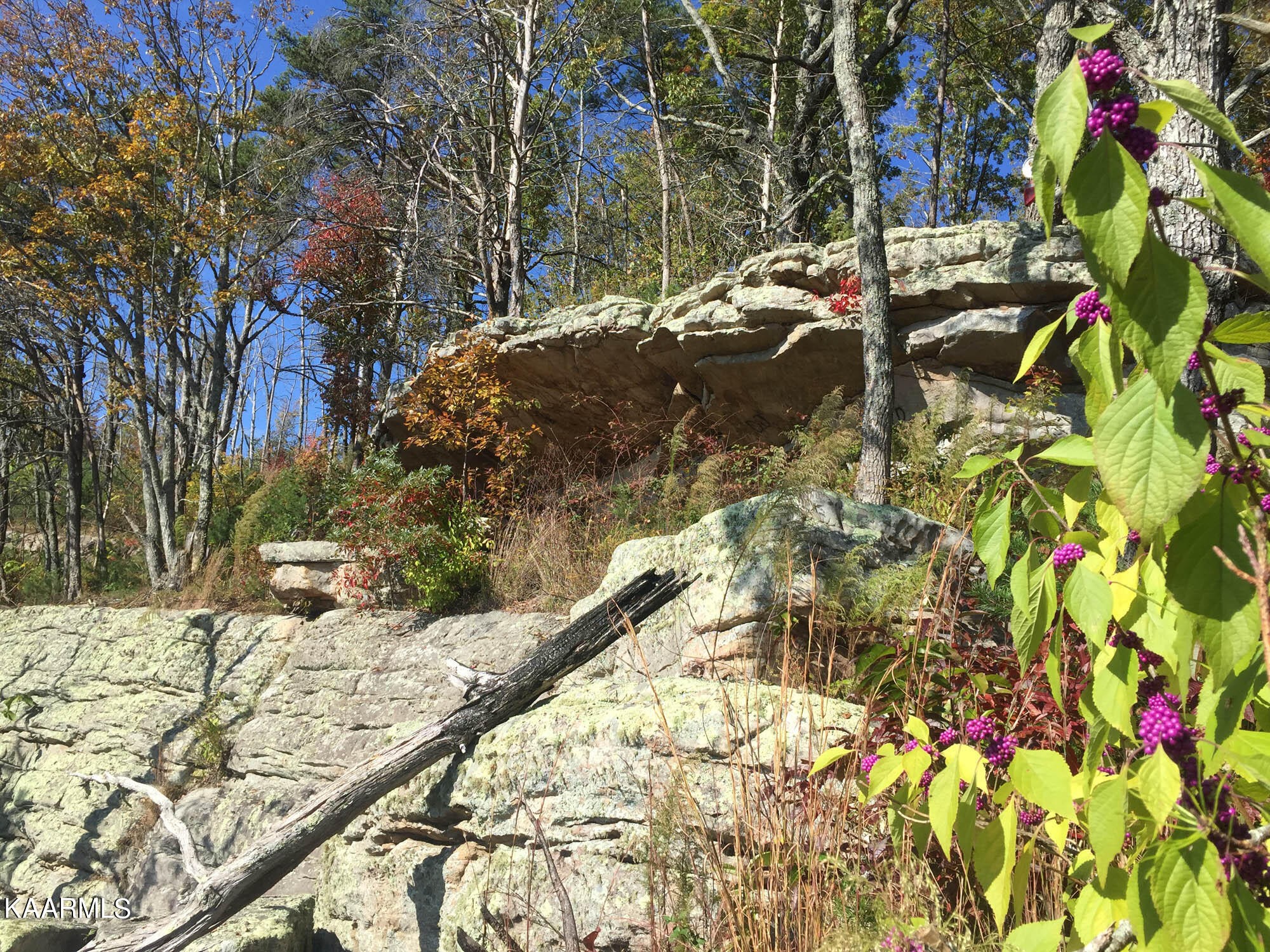 Pikeville, Tennessee, 37367, United States, ,Residential,For Sale,1943070