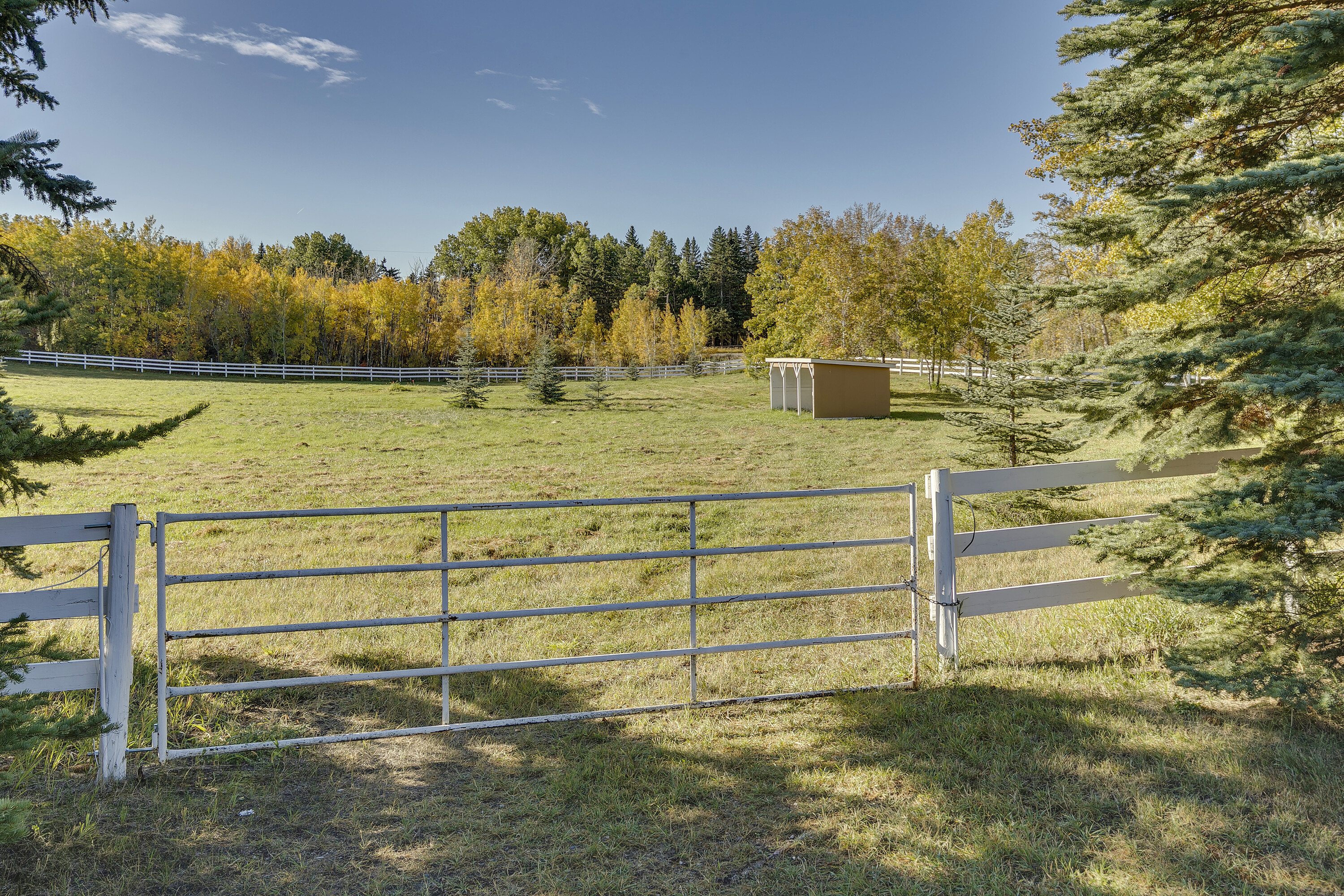  20 Acre Storybook Property - 物件實景