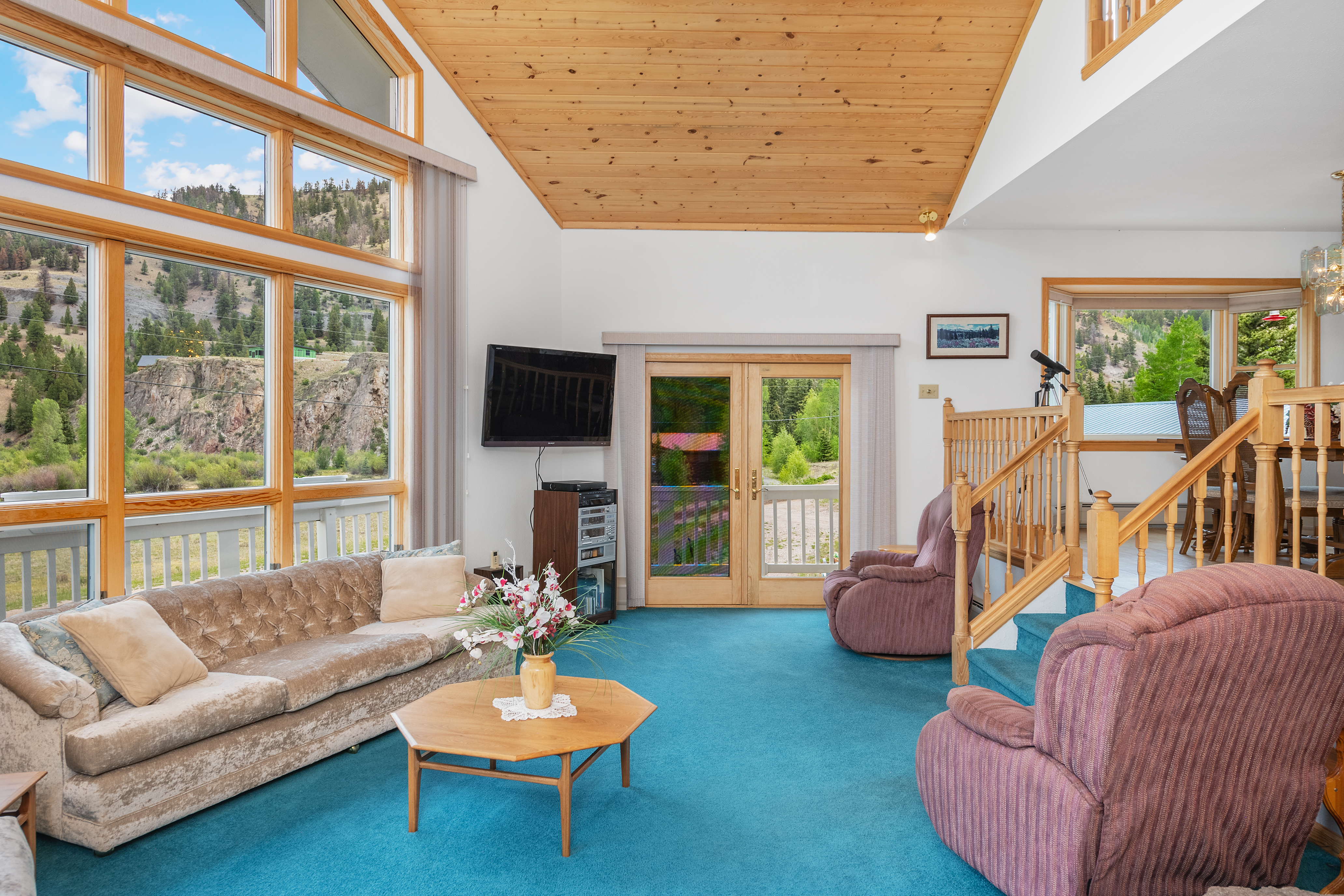  2079 Hummingbird Lane, Lake City, CO, 81235 - 物件實景