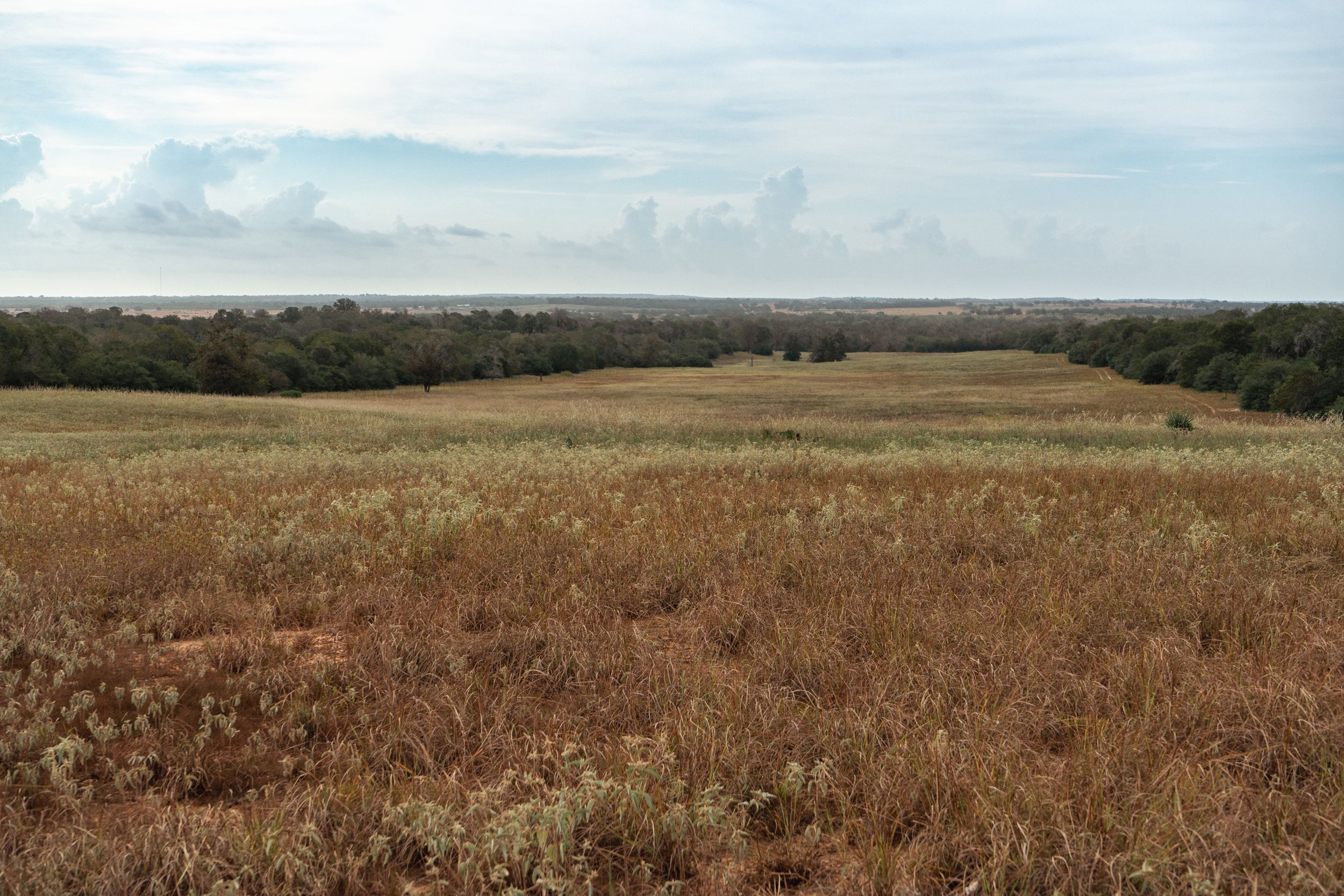  860+/- Acre PQR Ranch in Gonzales County - 物件實景