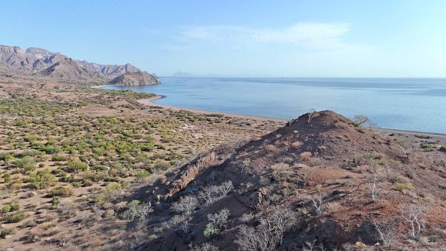 Parcela, Loreto, Baja California Sur, 23896, Mexico, 1 Bedroom Bedrooms, ,Residential,For Sale,Parcela,1644593