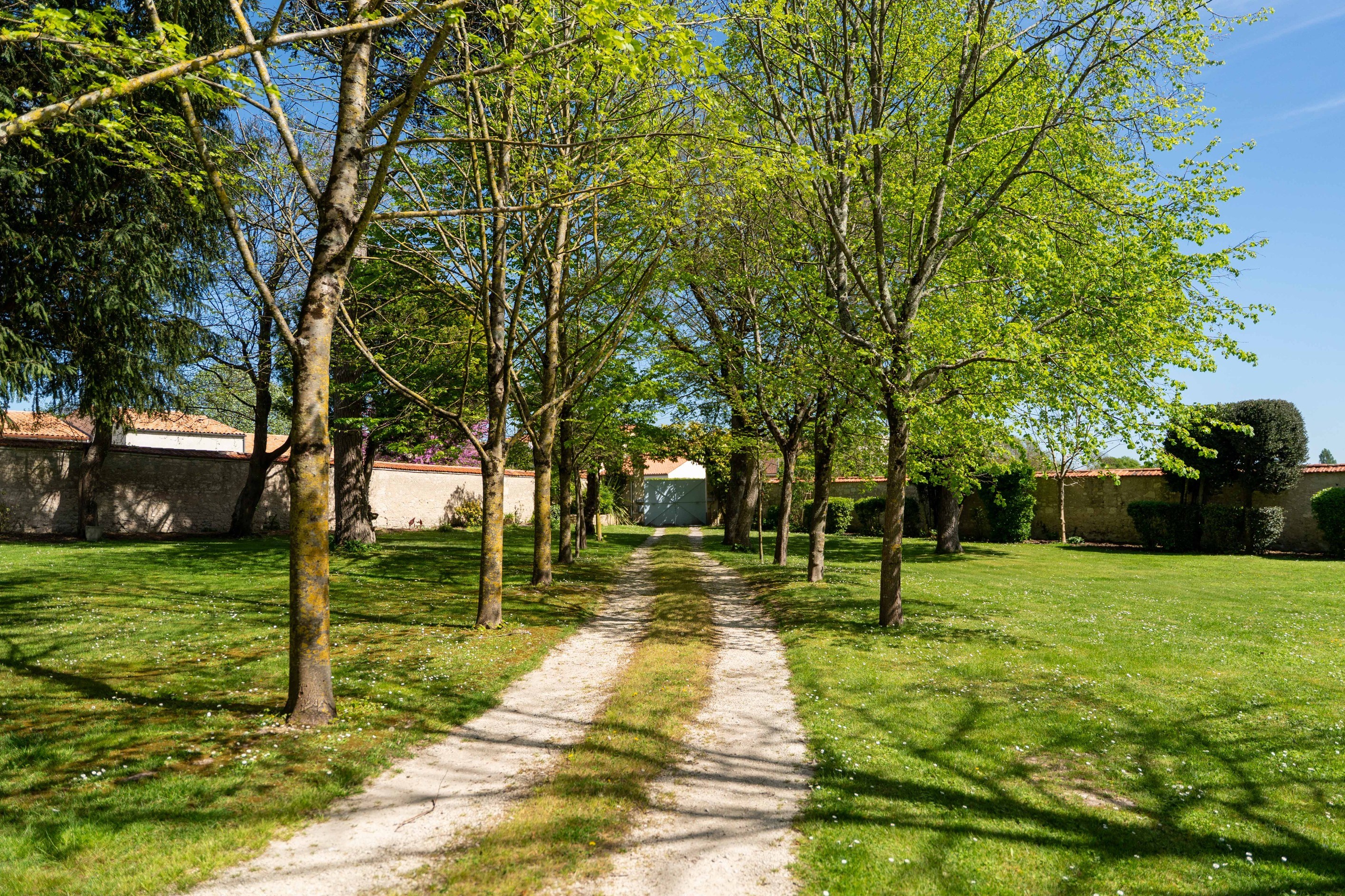  Charming property - 物件實景