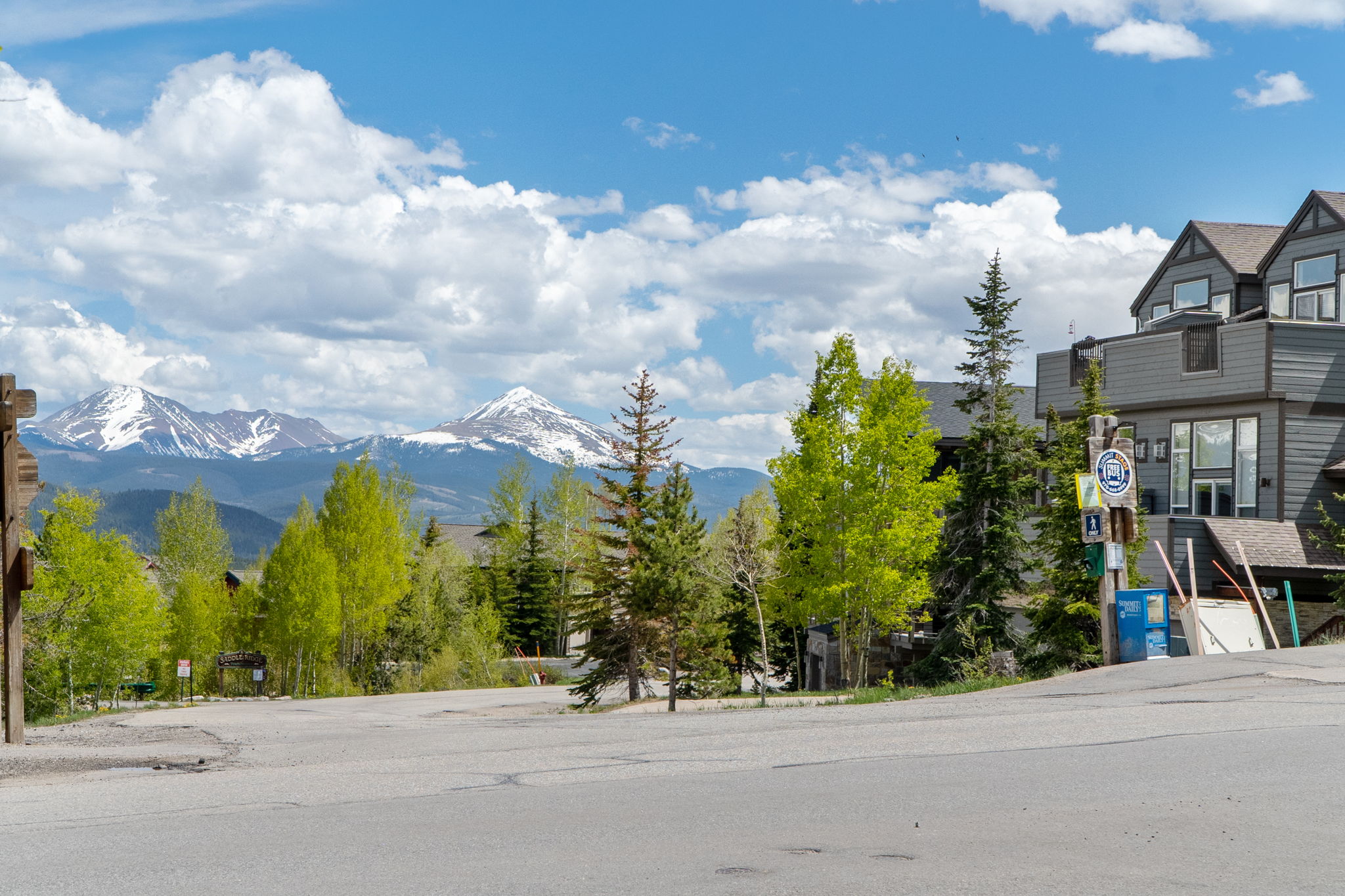  8100 Ryan Gulch Road, Wildernest, CO, 80498 - 物件實景