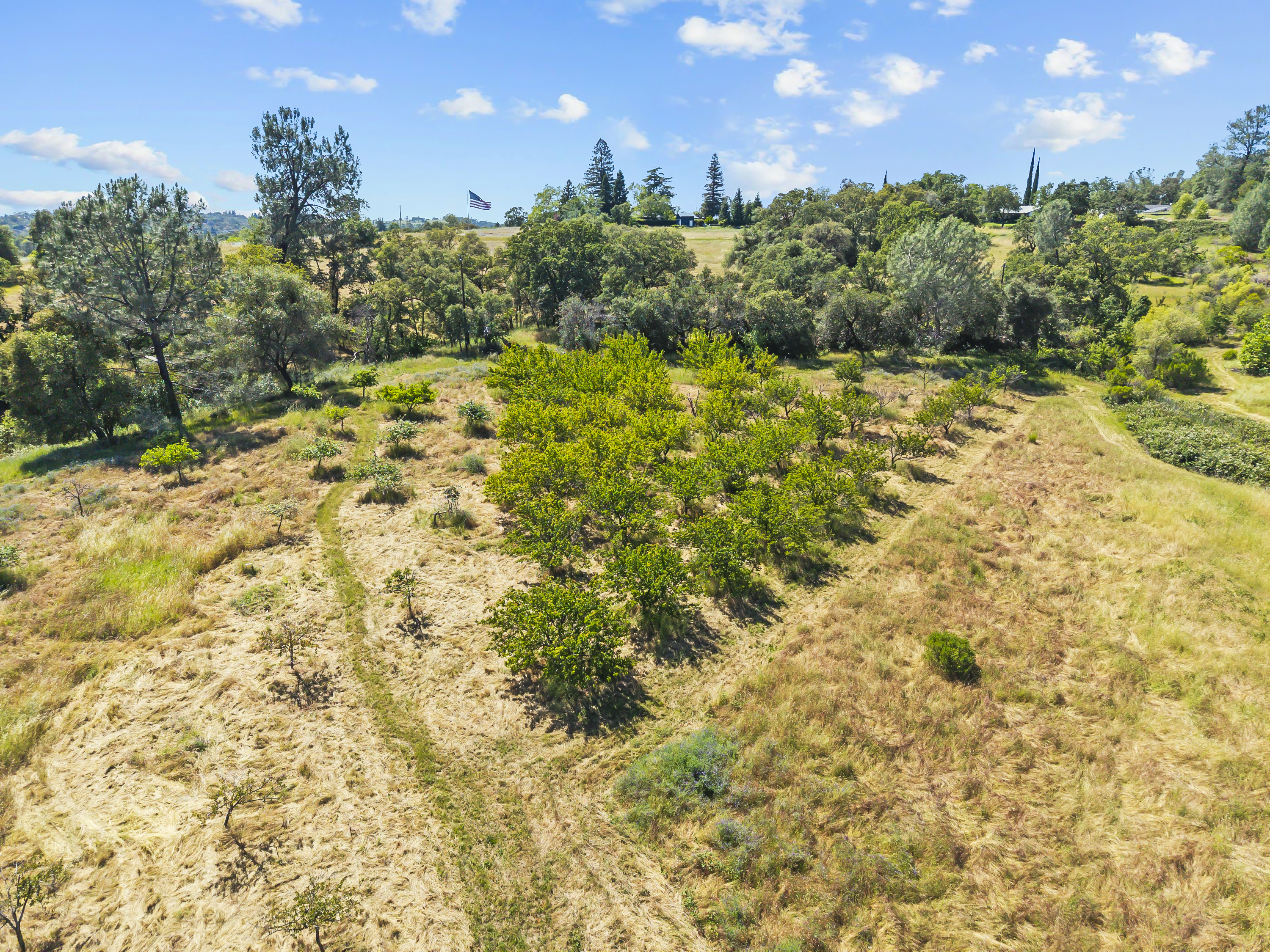  2105 Precision Place, Auburn, CA 95603 - 物件實景