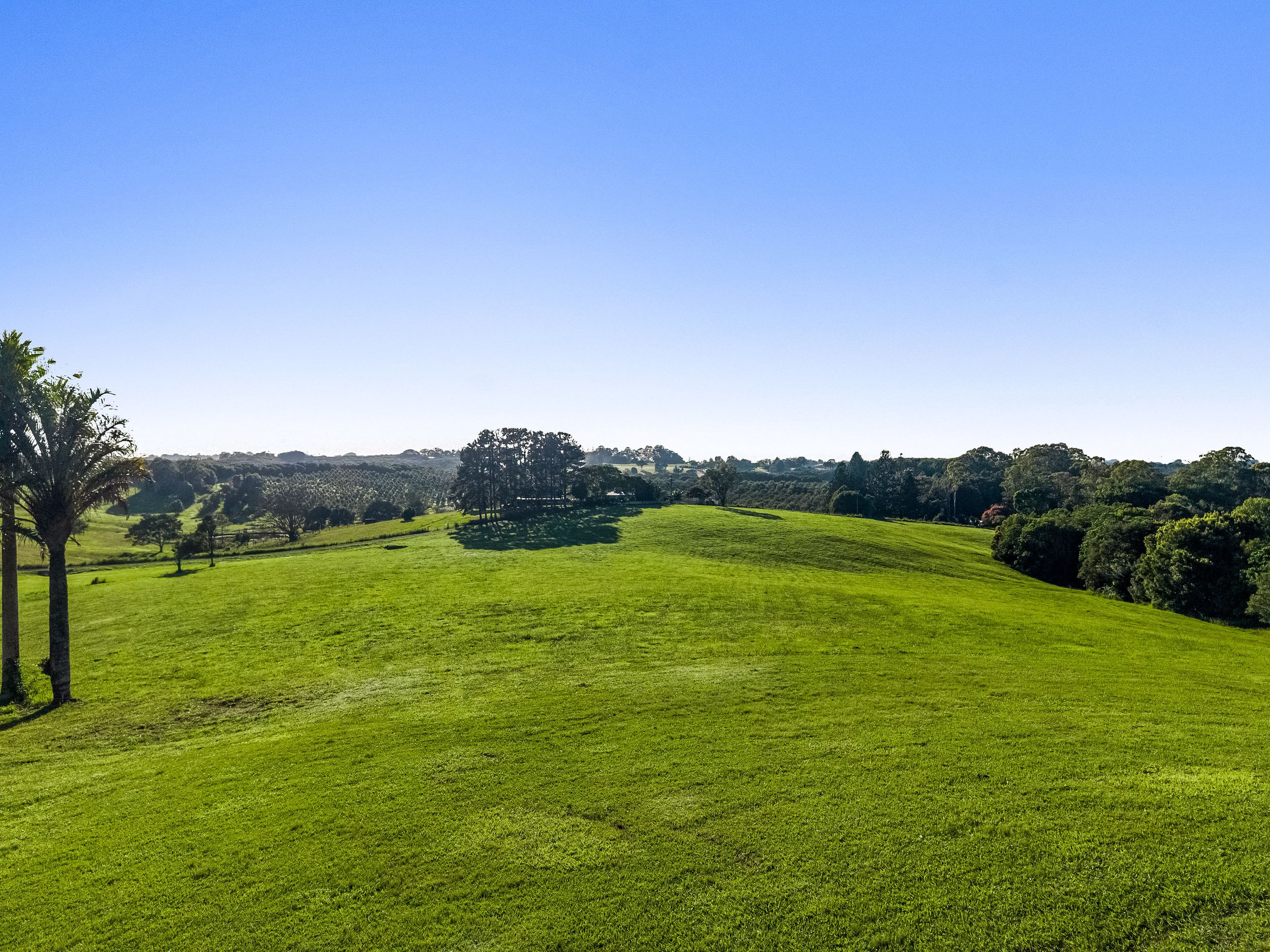  330 Fernleigh Road, Fernleigh - 物件實景