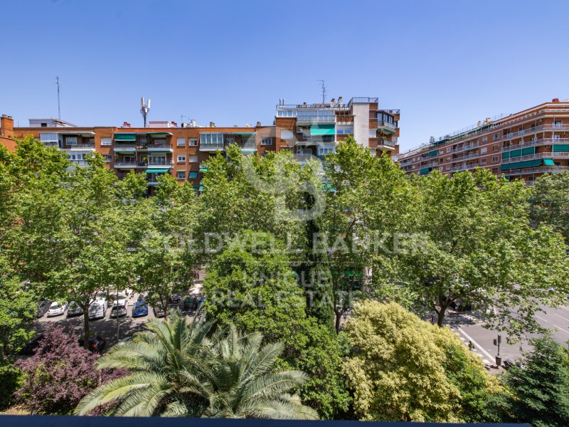 Madrid, Comunidad de Madrid, ES, 5 Bedrooms Bedrooms, ,3 BathroomsBathrooms,Residential,For Sale,1847498