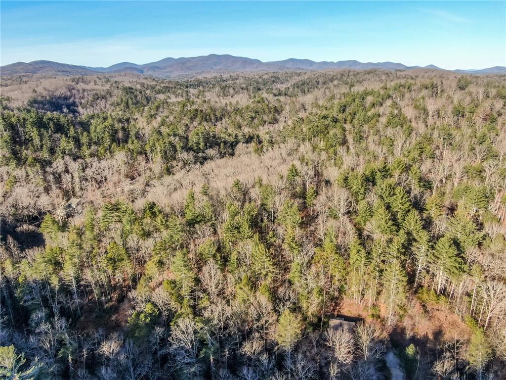Ellijay, Georgia, 30540, United States, 3 Bedrooms Bedrooms, ,3 BathroomsBathrooms,Residential,For Sale,1923913