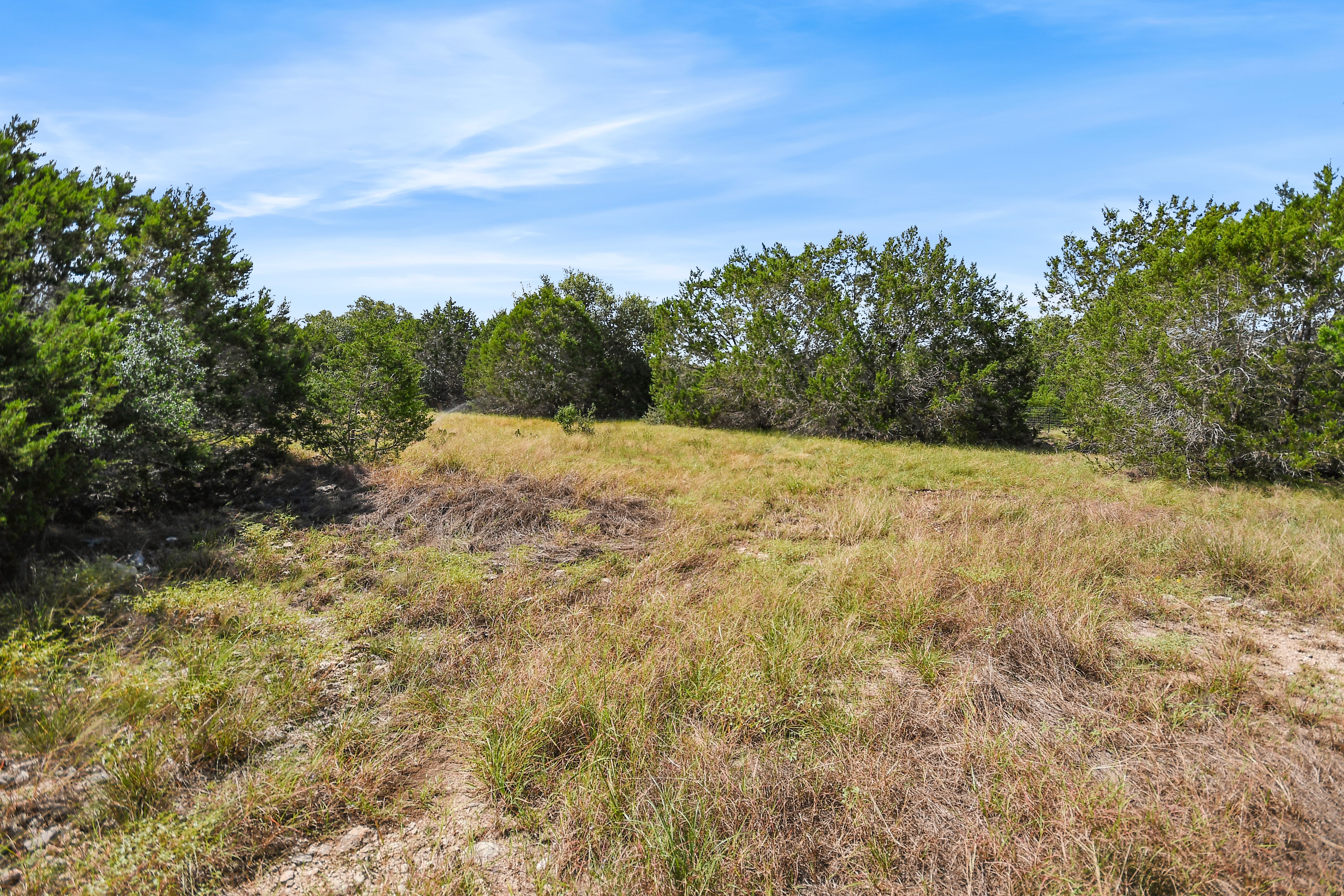  Welcome to your Hill Country Dream - 物件實景