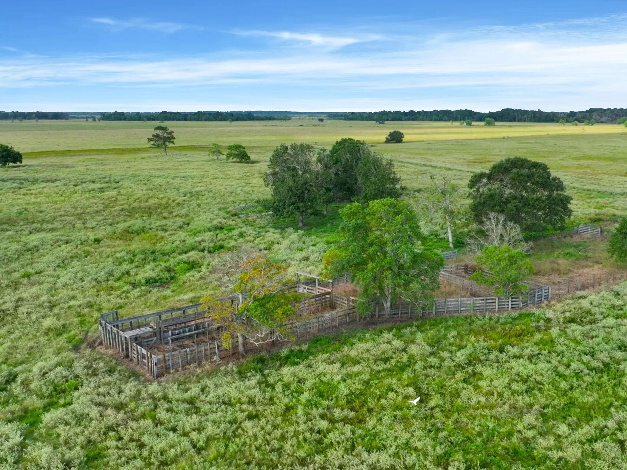 Anahuac, Texas, 77514, United States, ,Land,For Sale,1947447