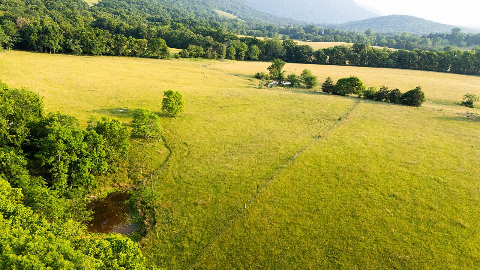 188 Marion Agee Road, Crossville, Tennessee, 37367, United States, ,Land,For Sale,188 Marion Agee Road,1659693