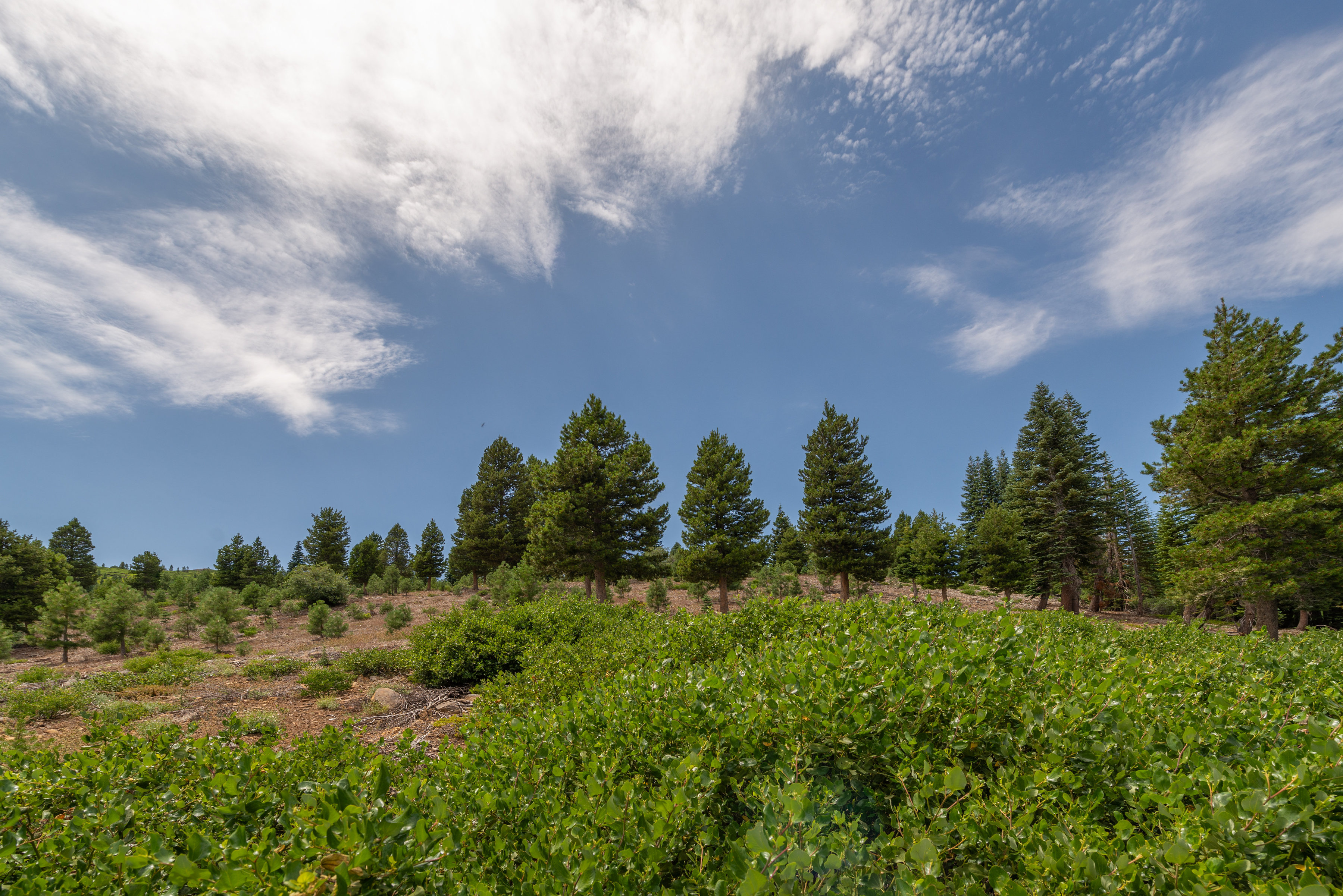  Build Your Mountain Retreat with Backcountry Access - 物件實景