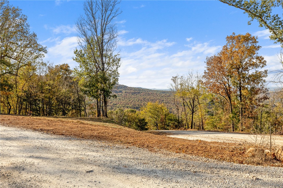 Harrison, Arkansas, 72601, United States, ,Land,For Sale,1903460