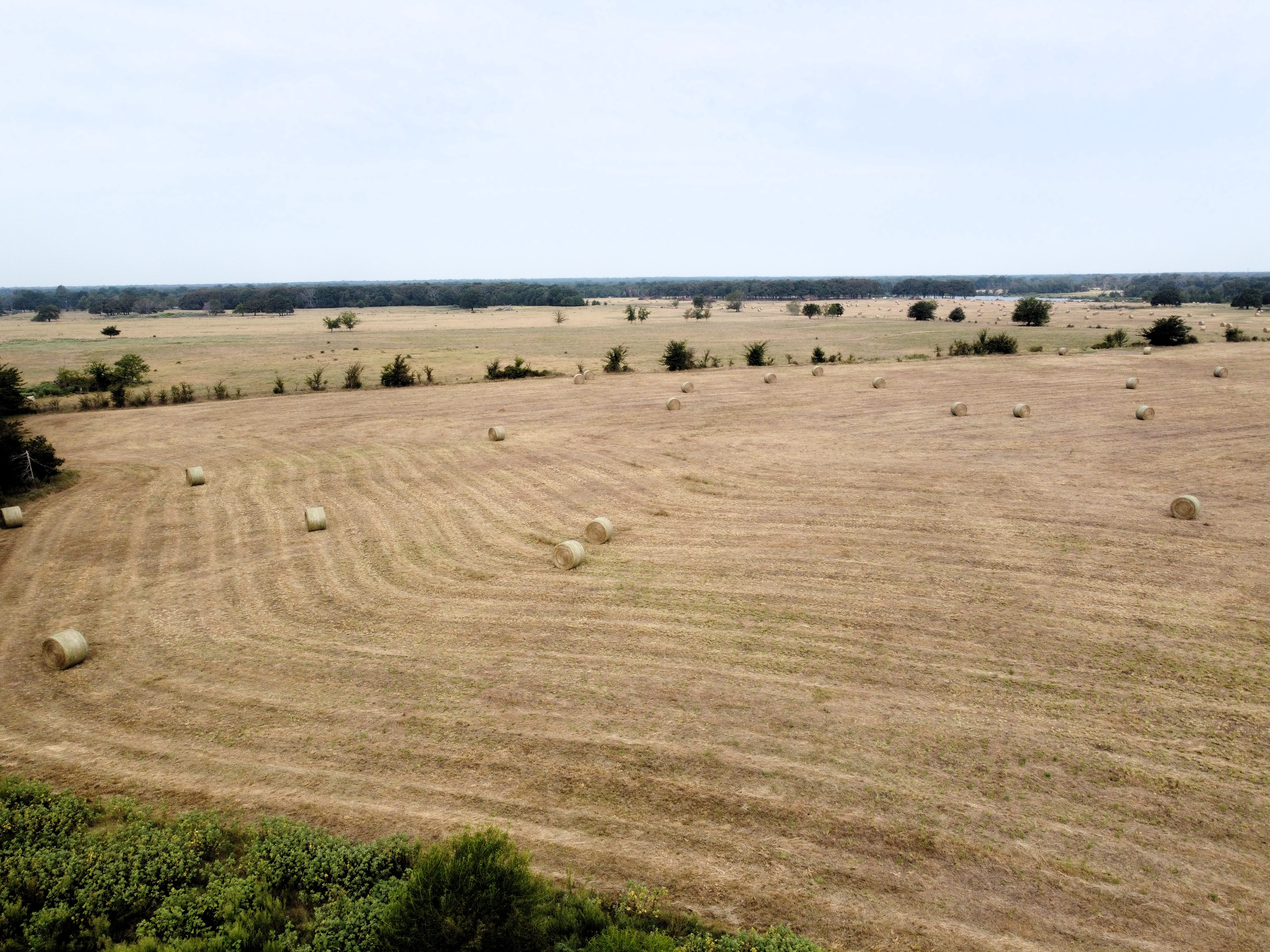 Cumby, Texas, 75433, United States, ,Land,For Sale,1987346