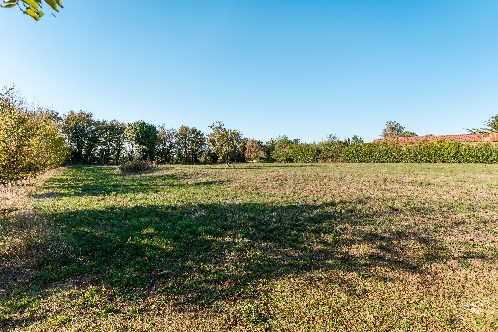  Maison de Maitre with a gite set in 2.54 hectares - 物件實景
