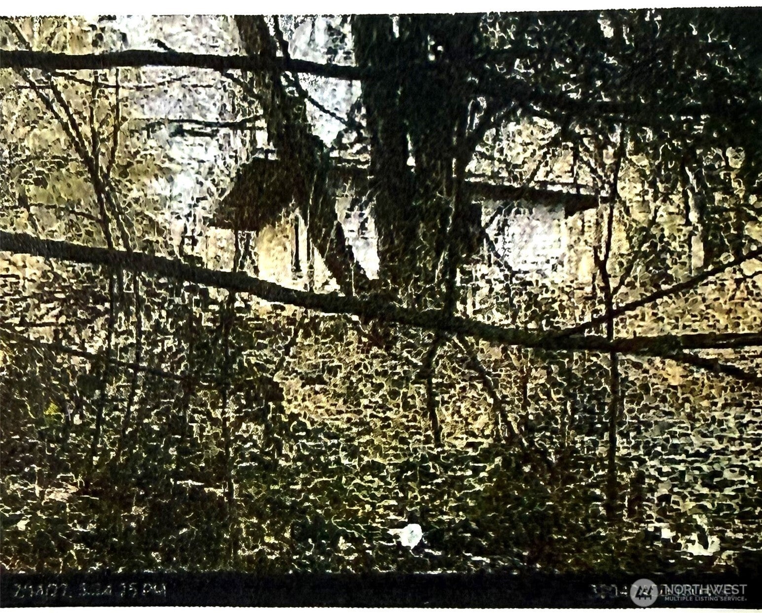 Stanwood, Washington, 98223, United States, ,Land,For Sale,1985661