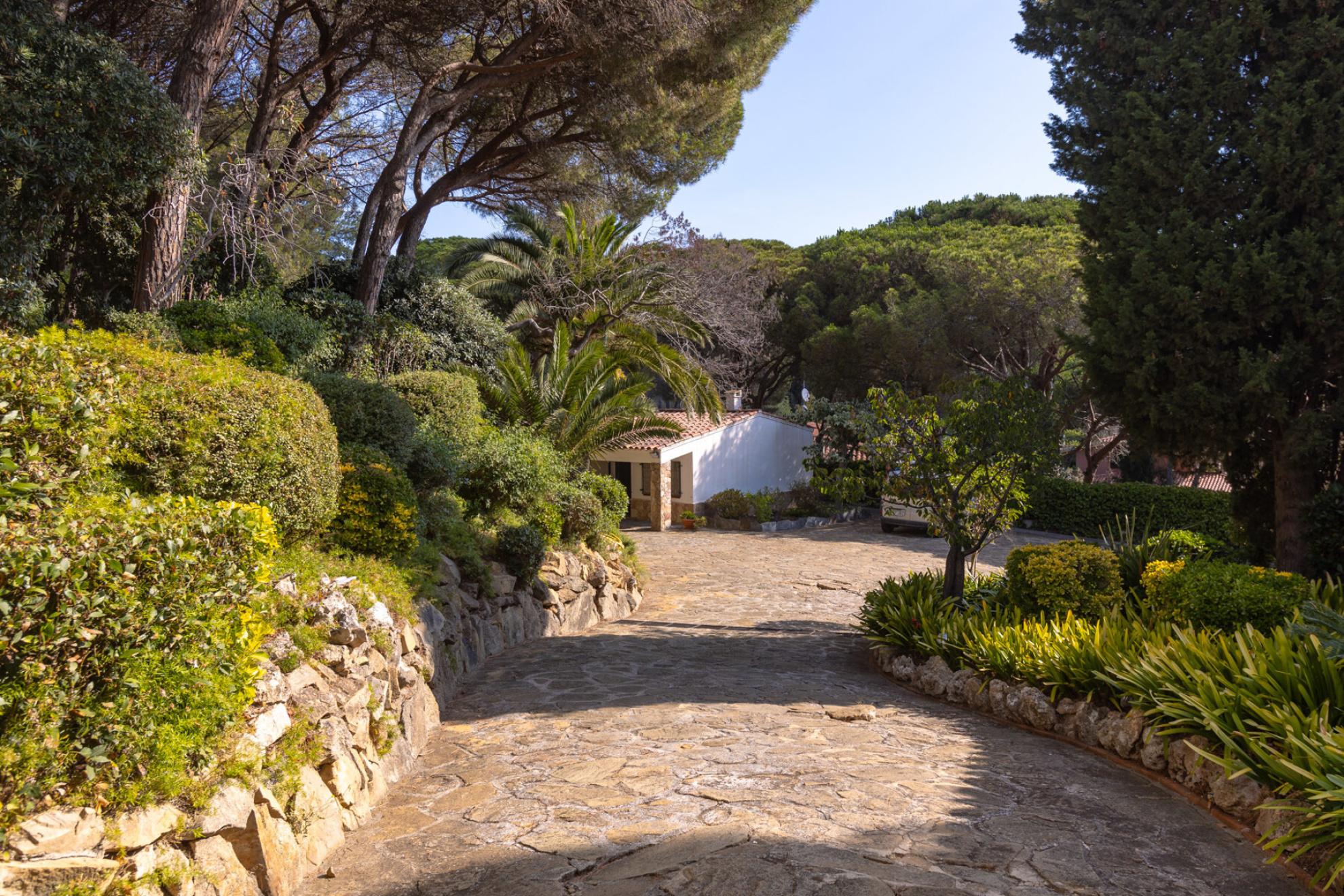  Large property in Llavaneres - Costa norte Barcelona - 物件實景