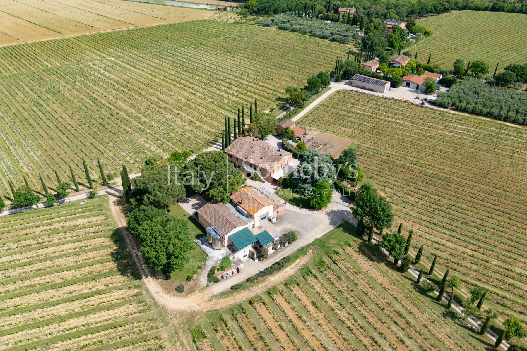  Refined wine estate with agritourism - 物件實景