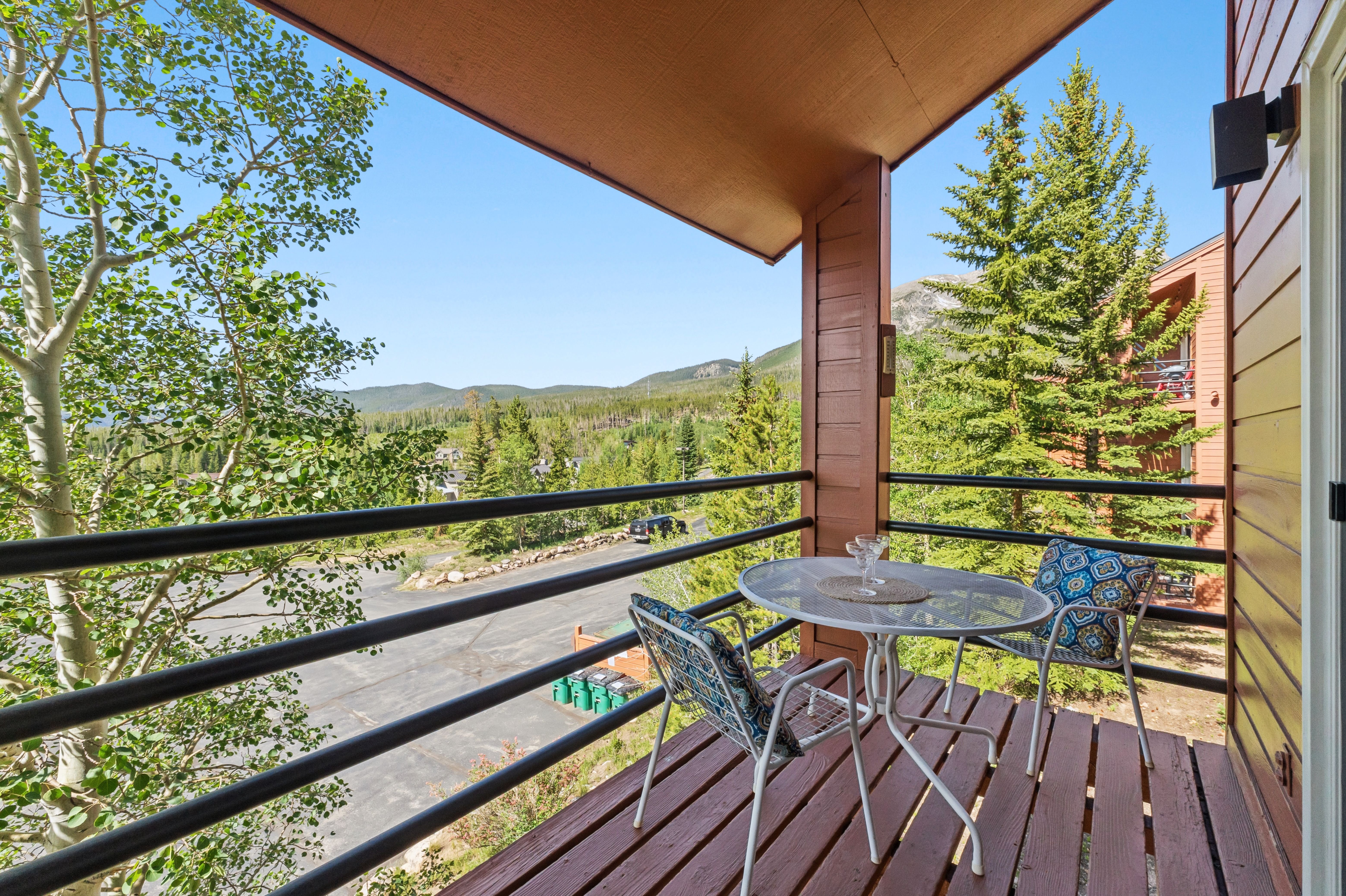  91200 Ryan Gulch Road, Silverthorne, CO, 80498 - 物件實景