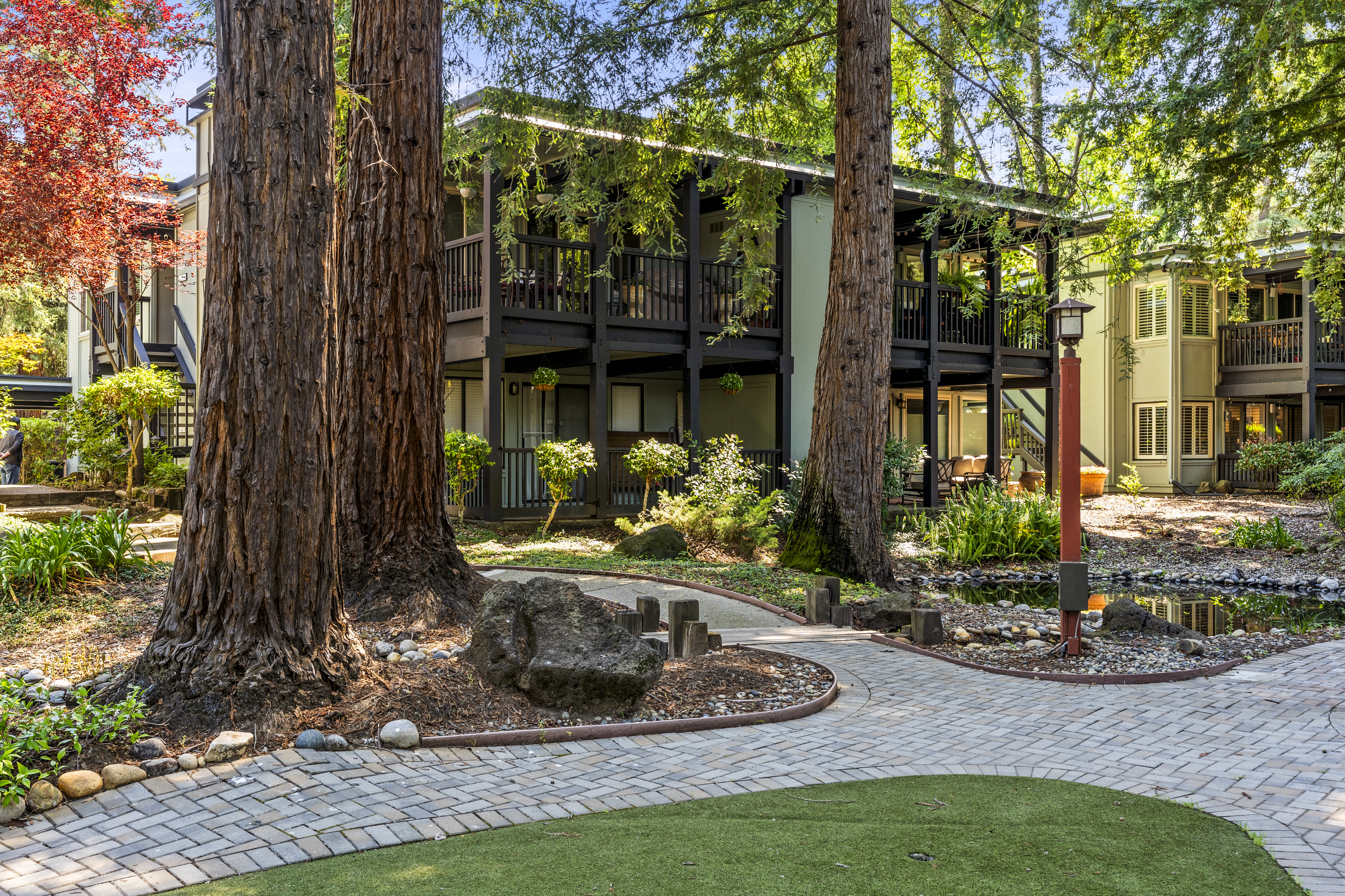  Tranquil Westside Danville Condominium Surrounded by Majestic Redwoods - 物件實景